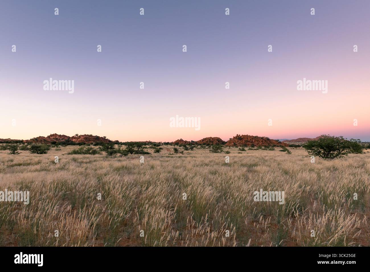 Alba sulla savana di Damaraland in Namibia Foto Stock