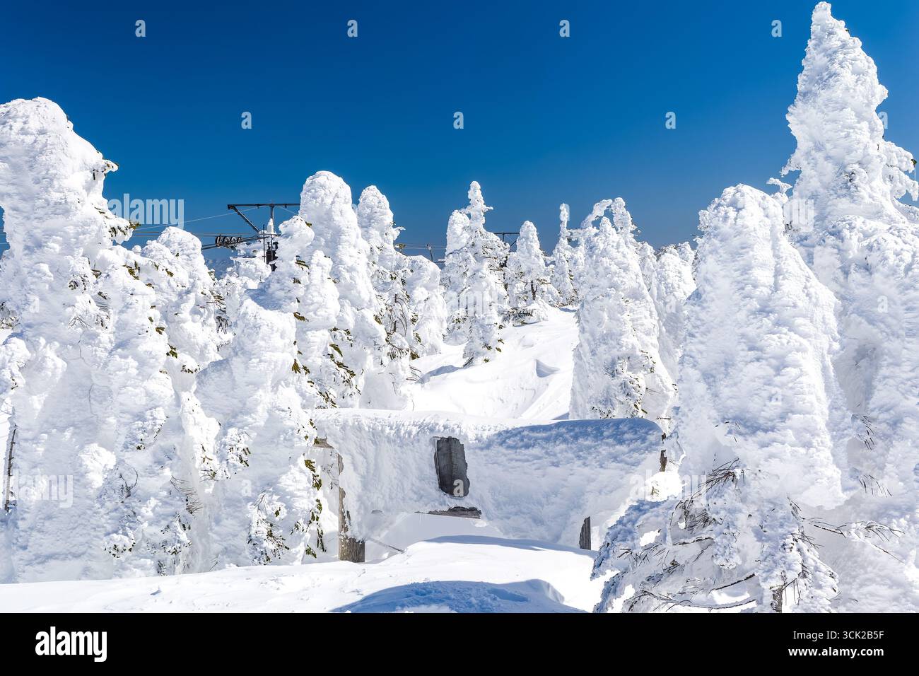 Porta torii quasi completamente sepolta nella neve profonda in una soleggiata giornata invernale in Giappone. Foto Stock