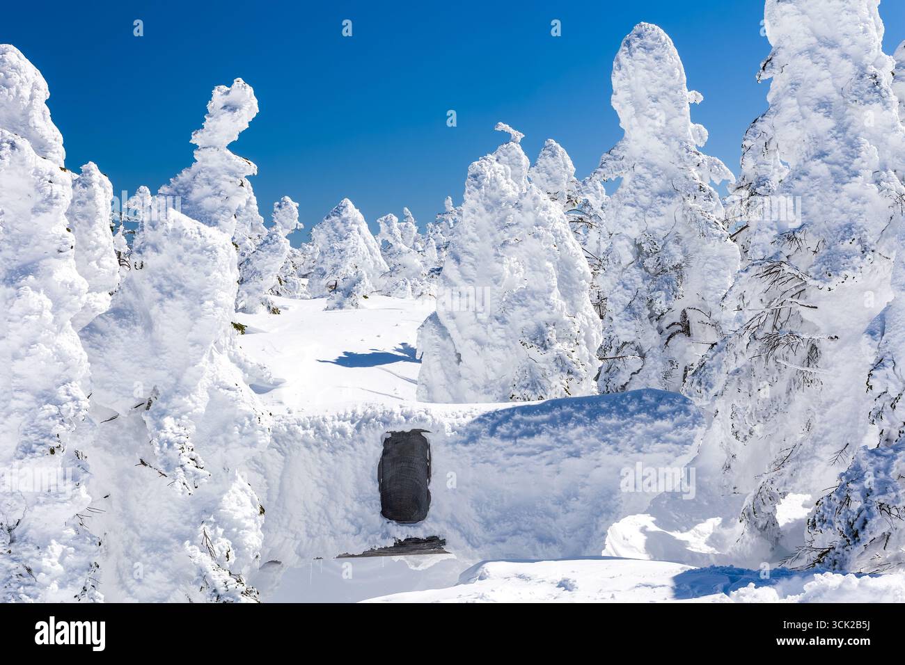 Alberi di mostro della neve circondano un cancello Shinto Torii sepolto in una giornata limpida a Shiga Kogen Foto Stock