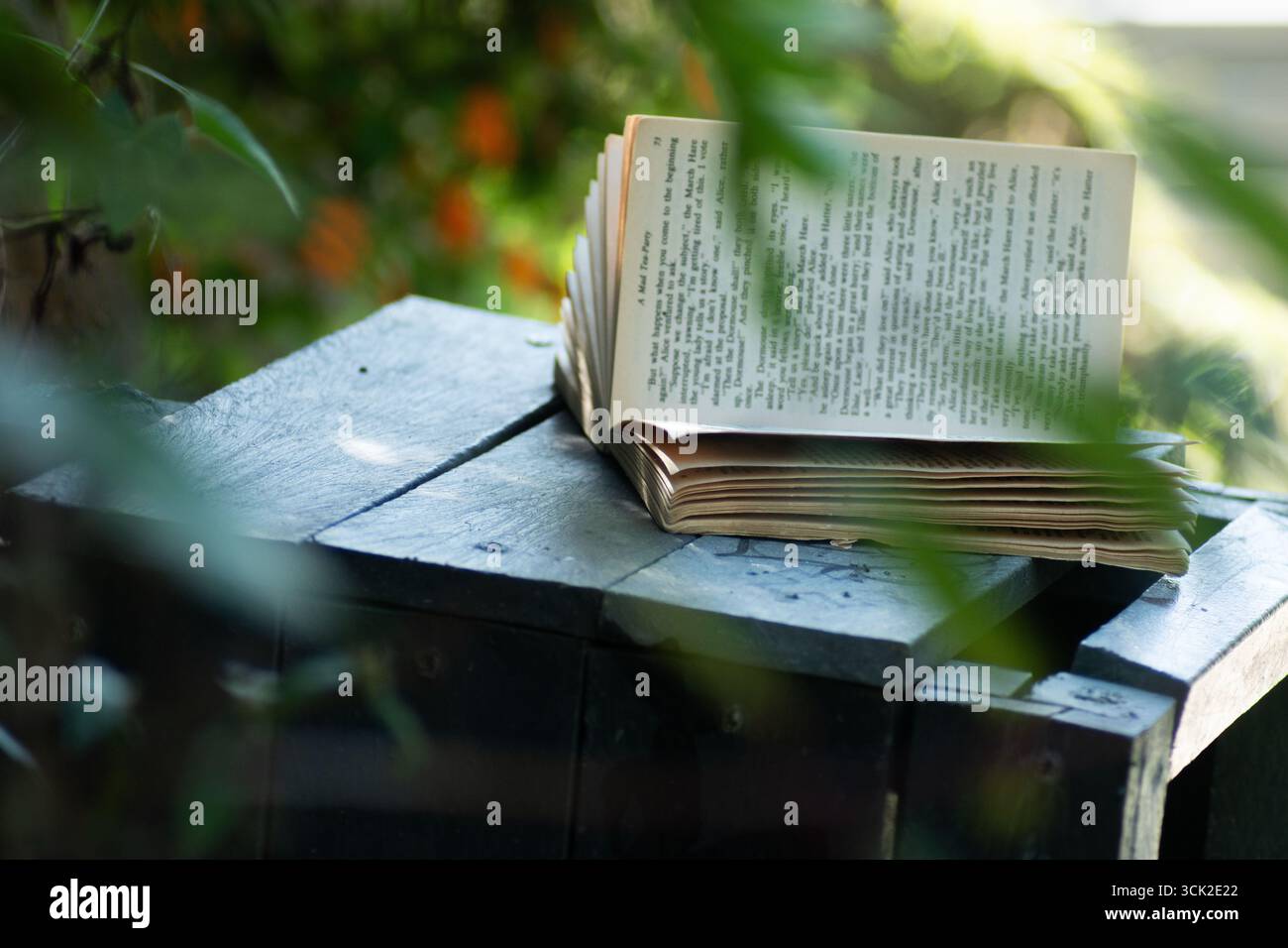 Open Book in Nature - simbolo di conoscenza, ispirazione e riflessione Foto Stock