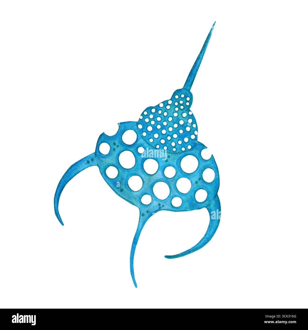 Blu, alghe datom, organismo unicellulare vegetale. Illustrazione acquerello disegnata, cartone animato, fatta a mano. Per adesivi, manuali di biologia ed ecologia. Mare Foto Stock