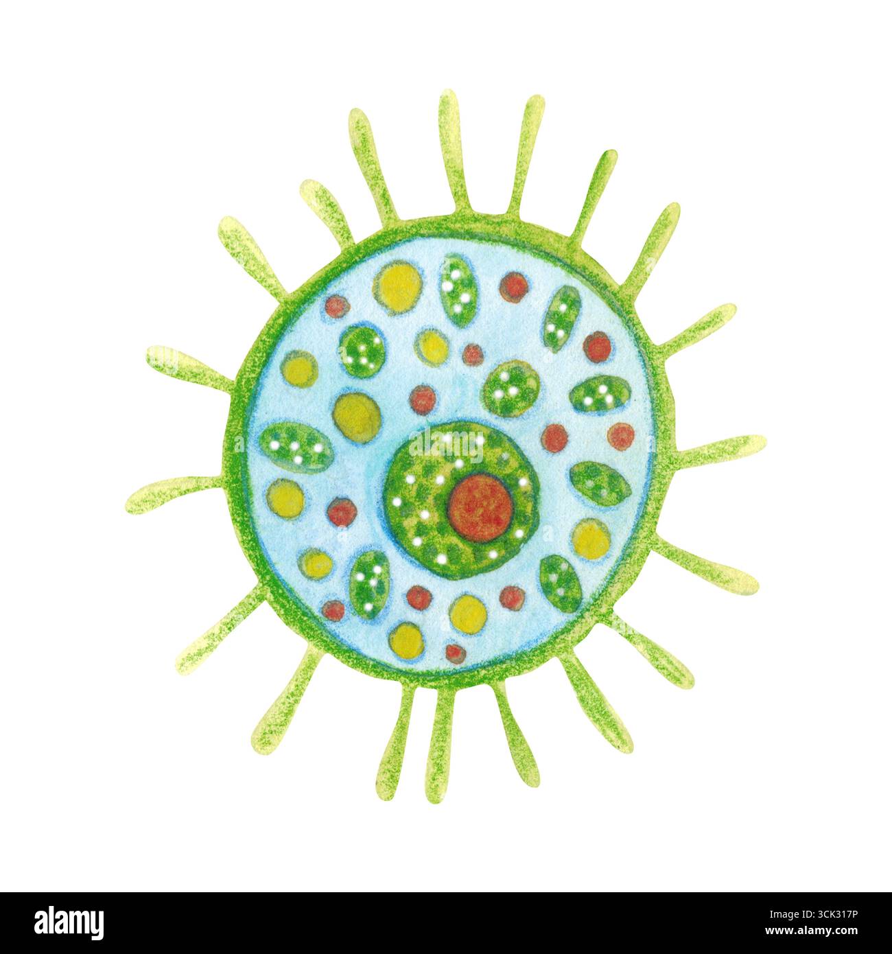 Organismo monocellare, fitoplancton. Illustrazione acquerello disegnata a mano, cartone animato. Disegnare per etichette, biglietti, adesivi, scrapbooking. biologia, oceano Foto Stock