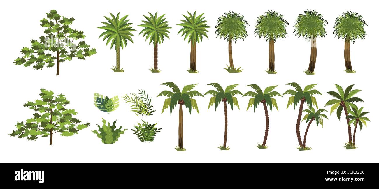Collezione di illustrazioni vettoriali di palme tropicali e piante della giungla, ideale per il design della natura, gli sfondi estivi e la grafica di paesaggi esotici. Illustrazione Vettoriale