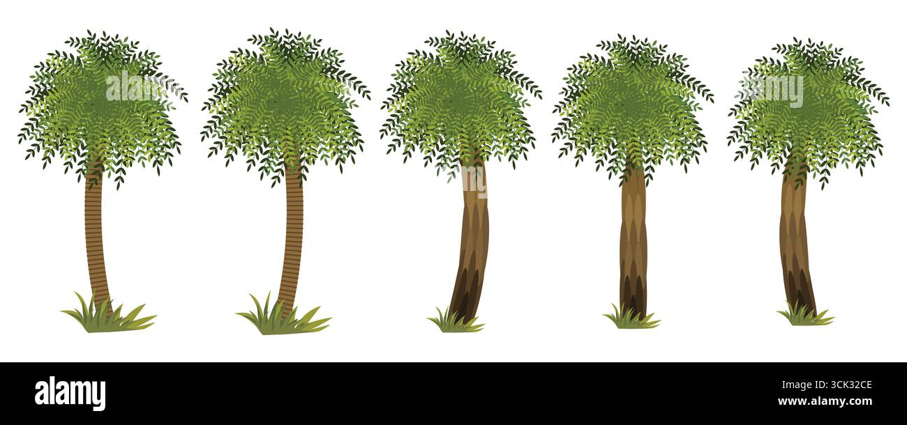 Collezione di affascinanti alberi vettoriali con lussureggiante fogliame verde, Una foresta naturale o Un'estetica del parco. Illustrazione Vettoriale