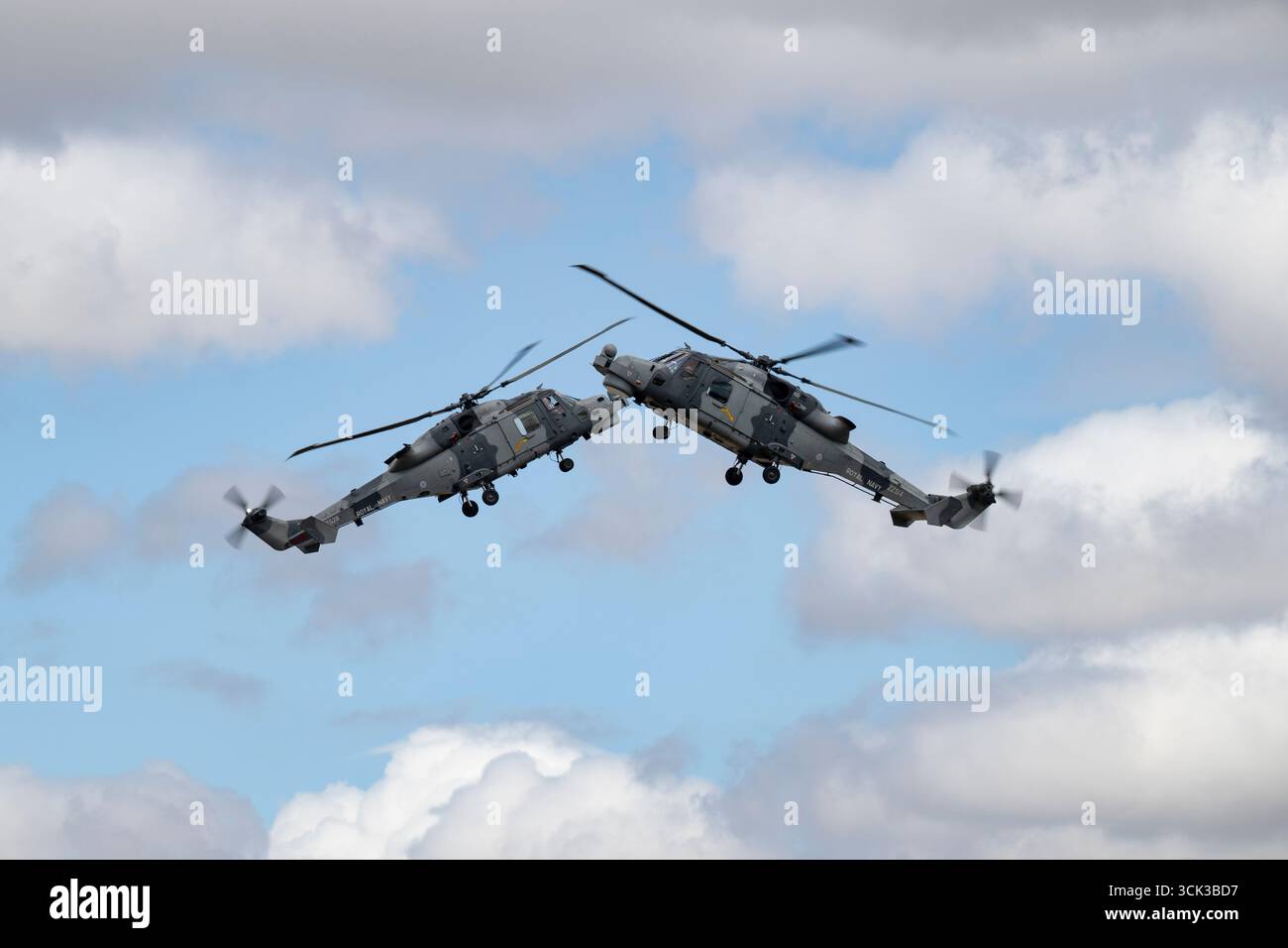 Il British Royal Navy Black Cats Helicopter display Team volava in mostra presso l'Air Tattoo il suo Agusta-Westland AW-159 Wildcat HMA2 Utility Aircraft Foto Stock