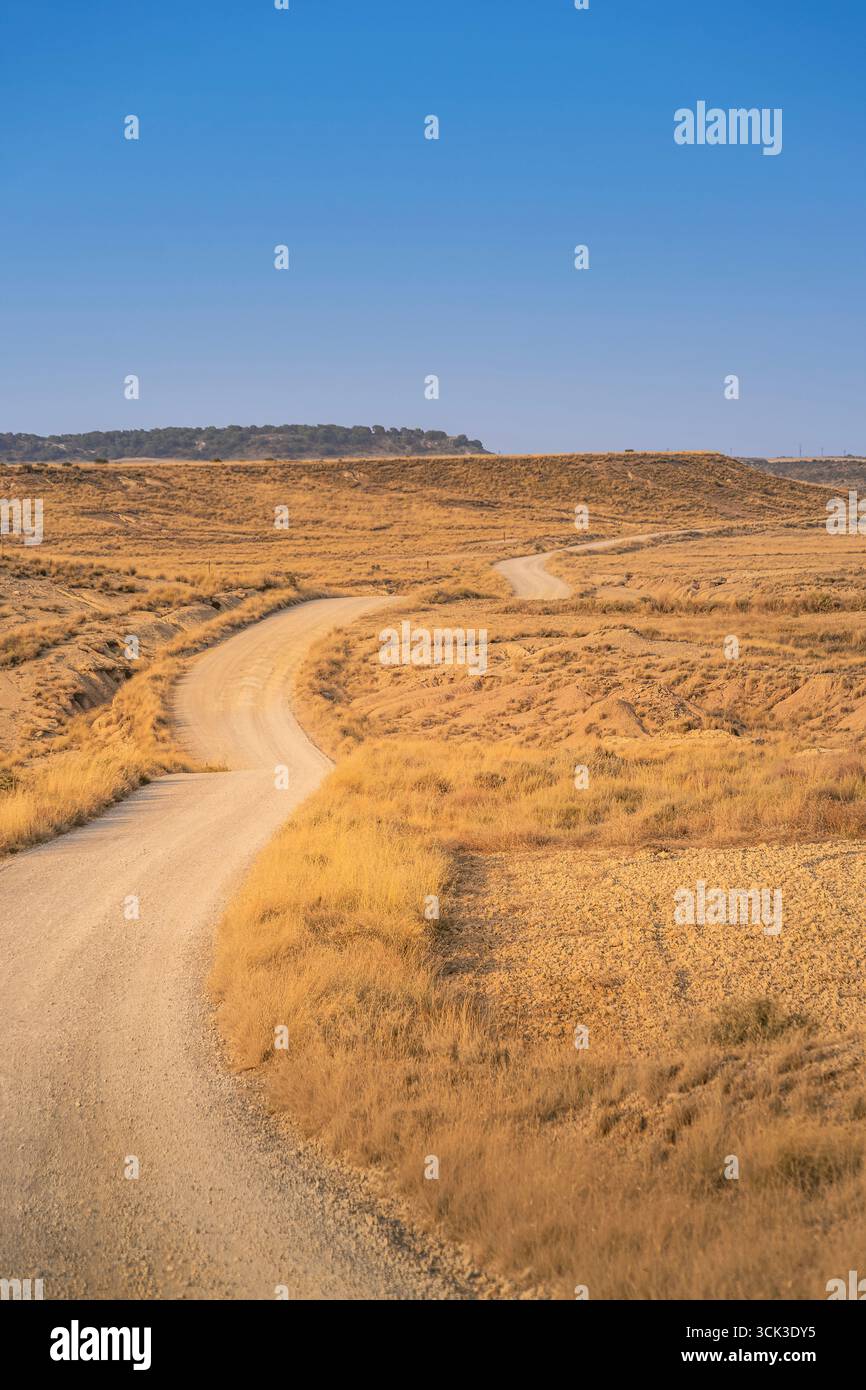 Strada sterrata attraverso il paesaggio del deserto dorato nel Parco naturale di Bardenas Reales Navarra Spagna. Riserva della Biosfera, Badlands Trail, vegetazione arida Foto Stock