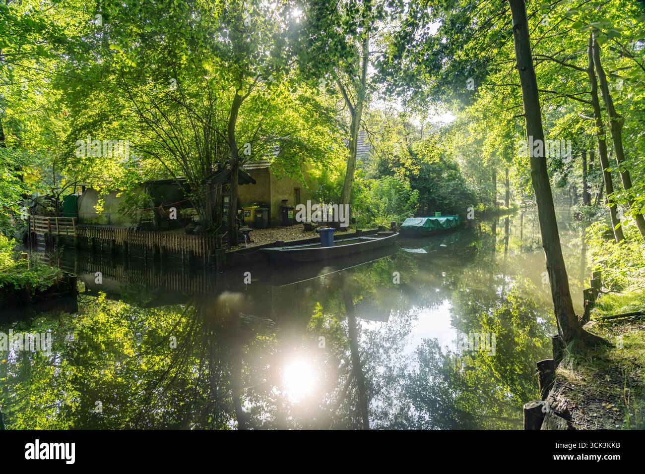 Kanal oder Spreewaldfließ im Spreewald beim Spreewalddorf Lehde, Lübbenau / Spreewald, Brandeburgo, Deutschland | Canale della Foresta di Sprea nel villaggio o Foto Stock