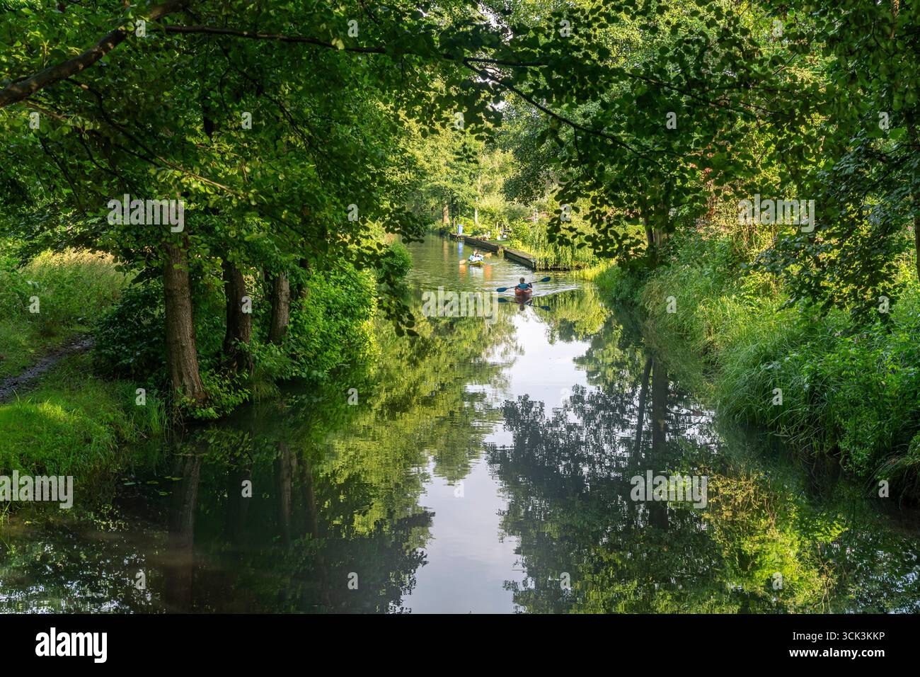 Kanal oder Spreewaldfließ im Spreewald beim Spreewalddorf Lehde, Lübbenau / Spreewald, Brandeburgo, Deutschland | Canale della Foresta di Sprea nel villaggio o Foto Stock