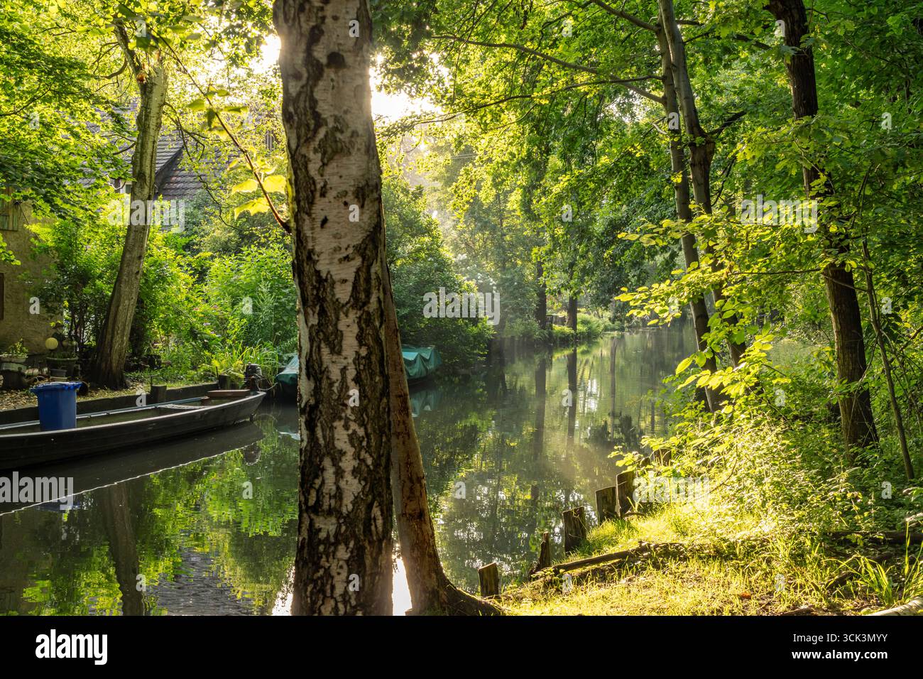 Kanal oder Spreewaldfließ im Spreewald beim Spreewalddorf Lehde, Lübbenau / Spreewald, Brandeburgo, Deutschland | Canale della Foresta di Sprea nel villaggio o Foto Stock