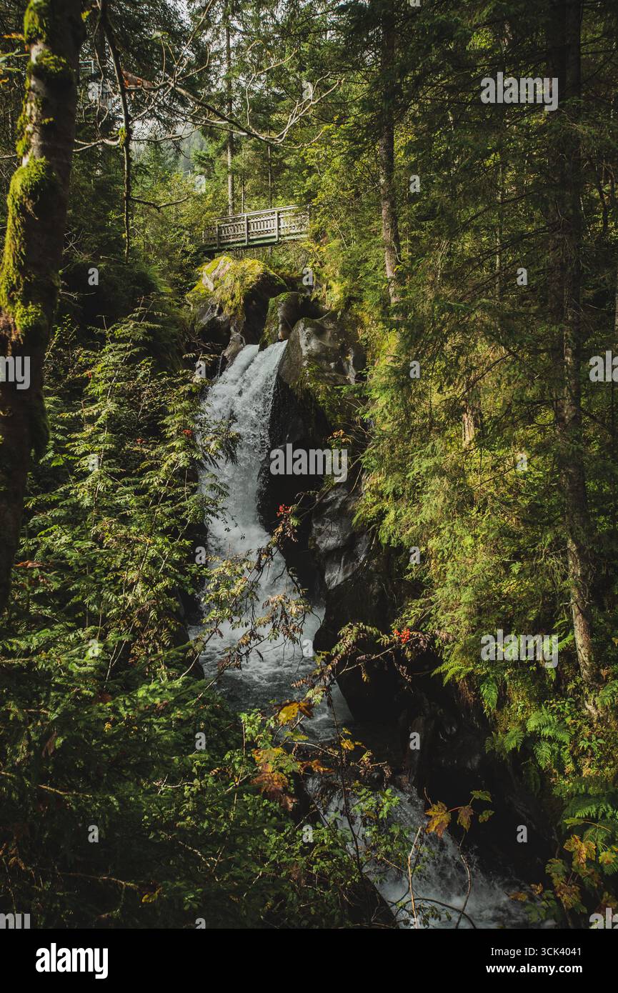 Die Schösswendklamm zählt wegen ihrer Eigenart und Schönheit zu einem besonderen Naturschauspiel. für die Entstehung dieser Schlucht, durch die sich der Felberbach zwängt, sind vor allem Biotit-Hornblende- und Grünschiefergesteine maßgebend, die den Wasserkräften erheblichen Widerstand leisten. Besonders bemerkenswert sind die zahlreichen kleineren und größeren Wasserfälle. 24.09.2020. // la Gola di Schösswend è considerata uno spettacolo naturale unico per la sua unicità e bellezza. Le rocce biotite-ornblende e greenschiste furono i fattori principali nella formazione di questa gola, attraverso la quale Foto Stock