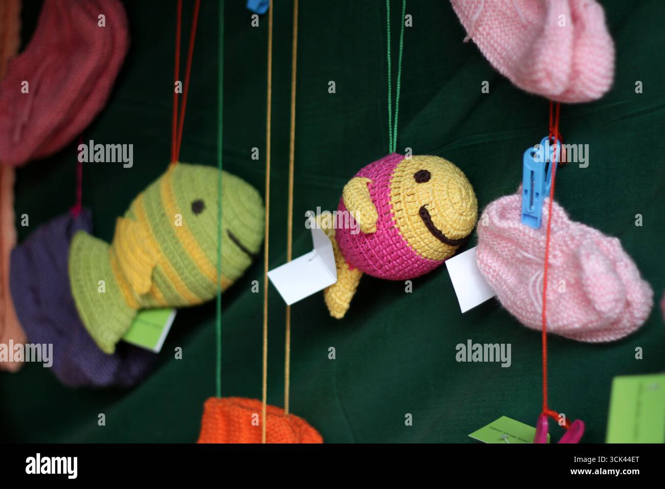Pesce di lana in mostra in una mostra a Delhi, India. Foto Stock