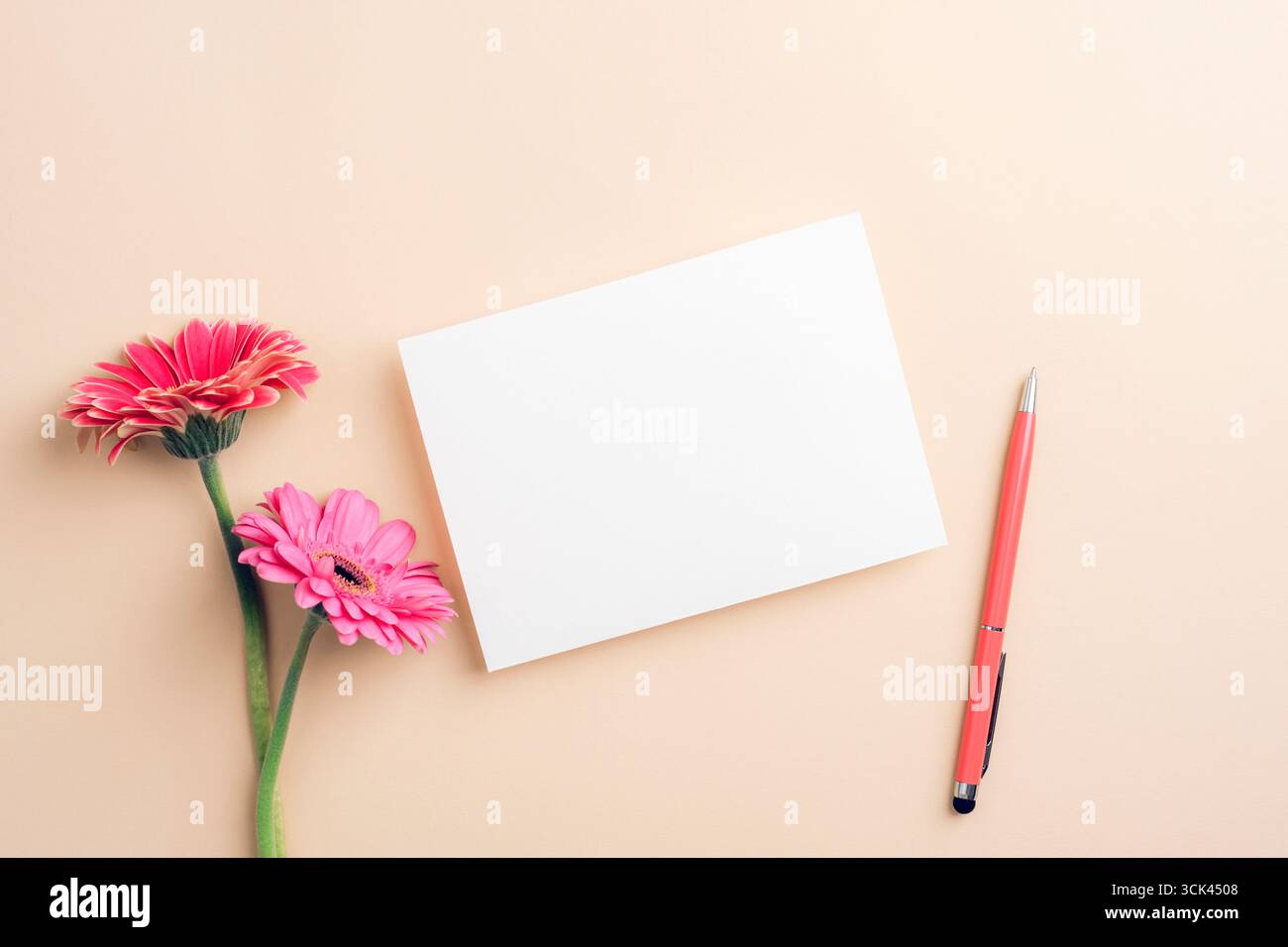 Biglietto bianco bianco bianco con fiori di gerbera rosa e penna su sfondo beige. Vista dall'alto, posizione piatta, mockup. Foto Stock