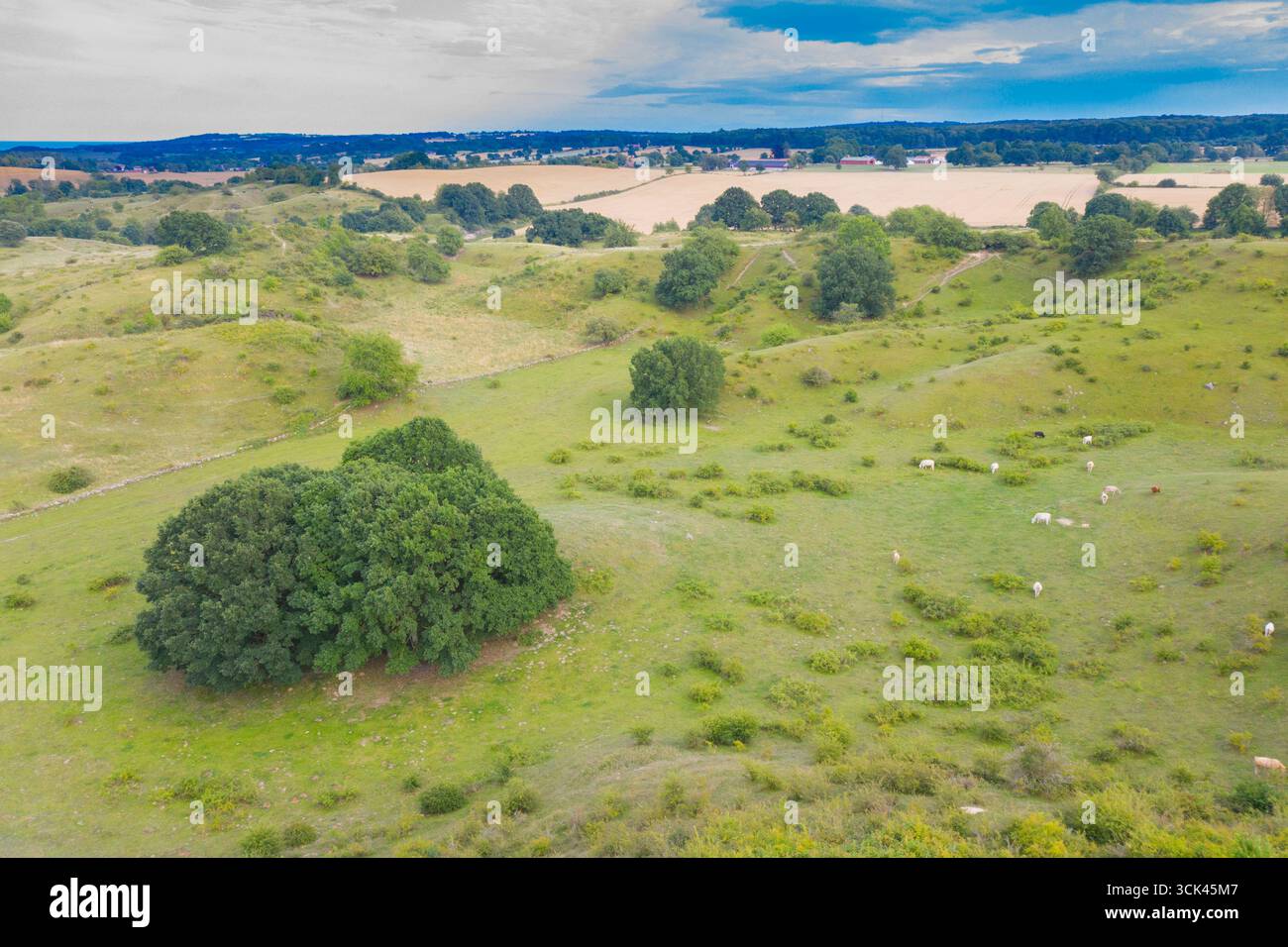 Le pittoresche colline di Broesarps fanno da sfondo, provincia di Skane, Svezia Foto Stock