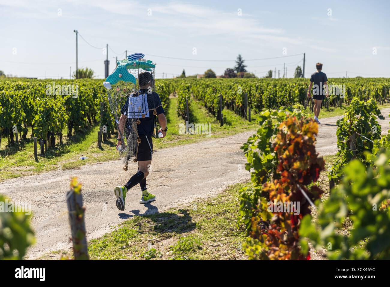 PAUILLAC, FRANCIA - 6 SETTEMBRE 2025: Un corridore in costume davanti ai vigneti durante la 39a Maratona del Medoc Foto Stock