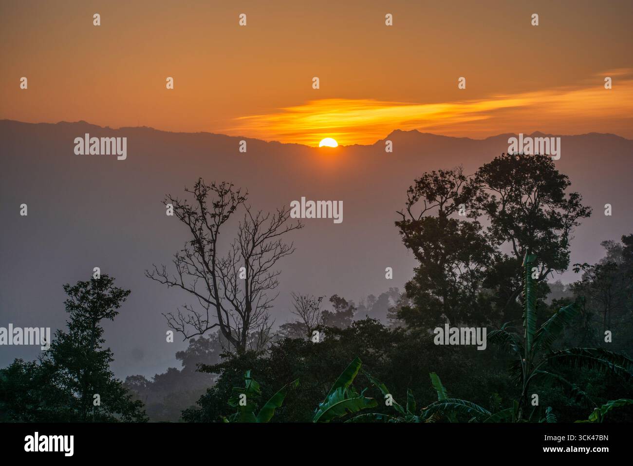 Vista del sole che sorge sulla catena montuosa, proietta un bagliore dorato sulla valle ricoperta di nebbia e sagoma degli alberi, Sajek, Chittagong Division, Bangladesh. Foto Stock
