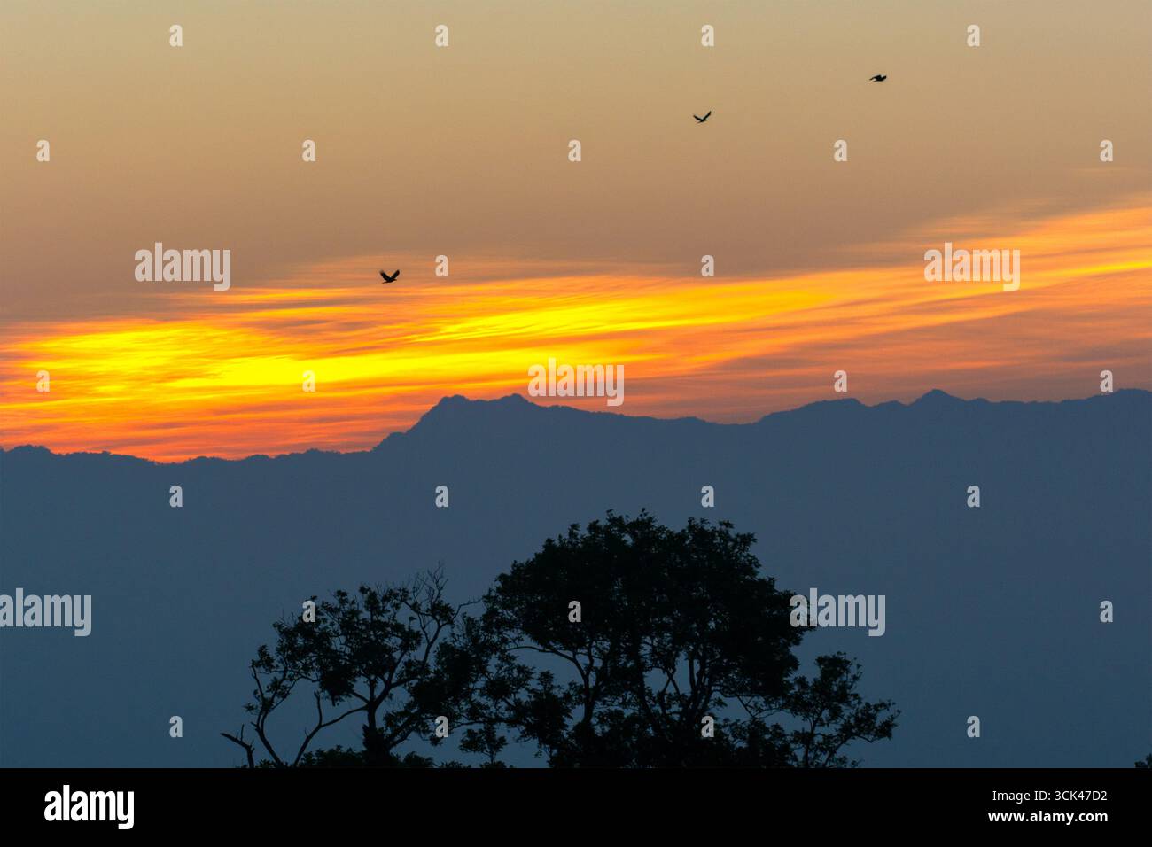 Vista di un tramonto sereno che dipinge l'orizzonte in fiammeggianti arance e gialli, con montagne lontane che gettano una fresca ombra blu, Sajek e Chittagong Divisi Foto Stock