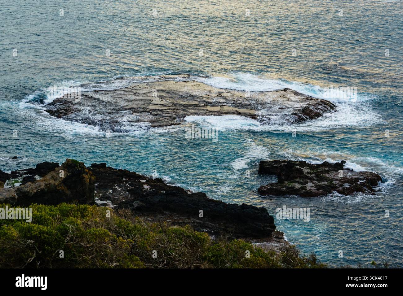 Le onde girano intorno a una formazione rocciosa piatta della barriera corallina nell'oceano, creando texture schiumose e motivi costieri. Foto Stock