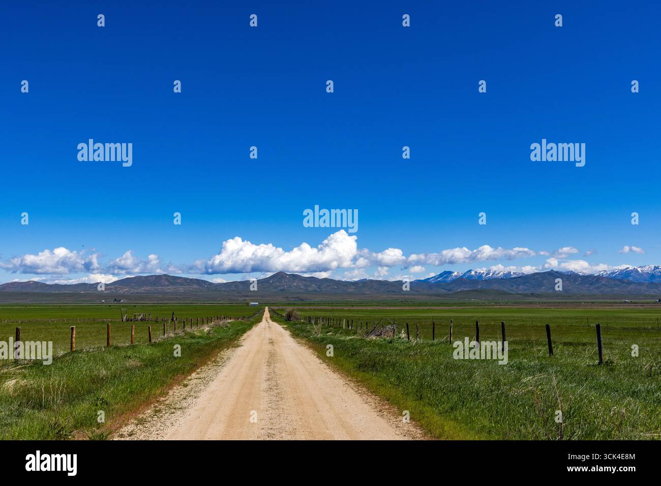 Strada sterrata vuota che attraversa Camas Prairie Foto Stock
