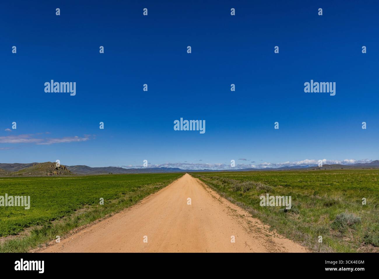 Strada sterrata vuota che attraversa Camas Prairie Foto Stock