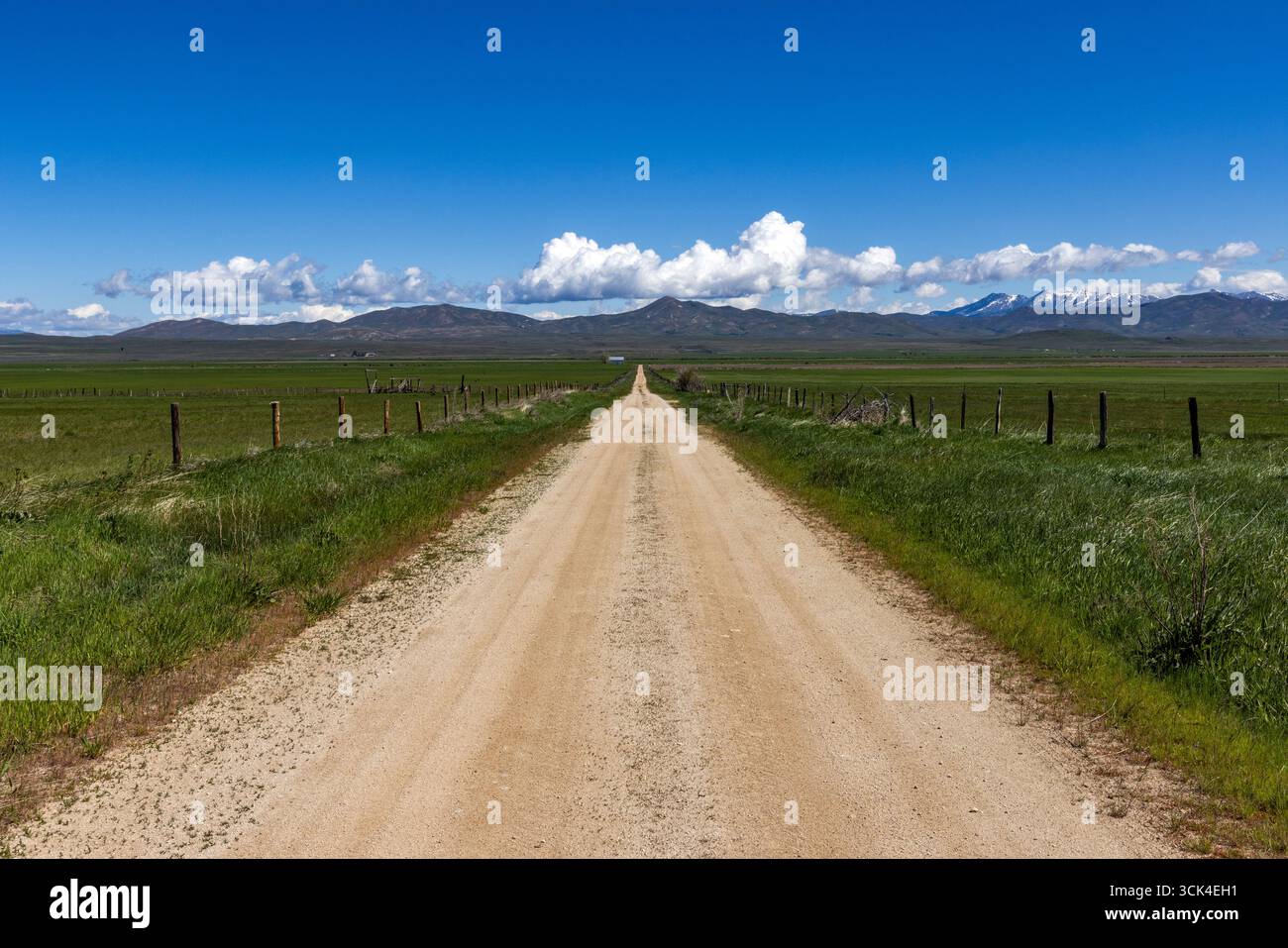 Strada sterrata vuota che attraversa Camas Prairie Foto Stock
