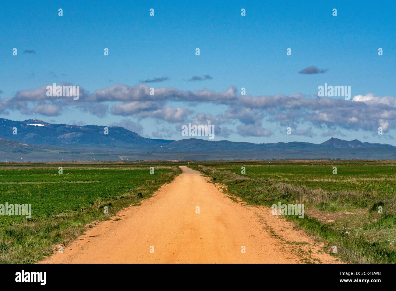 Strada sterrata vuota che attraversa Camas Prairie Foto Stock