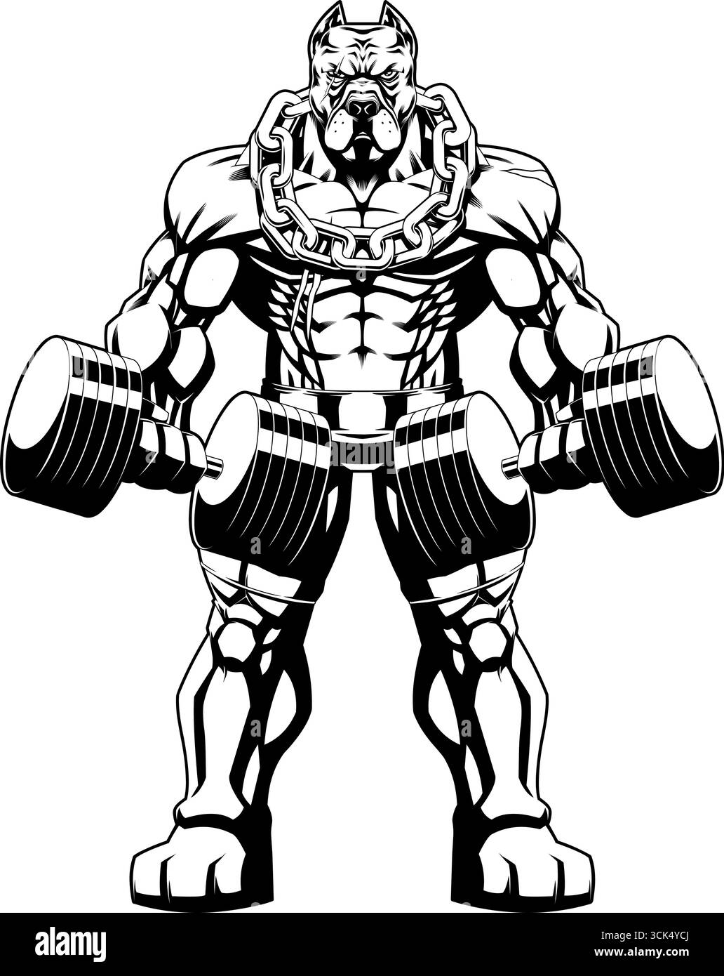 Sagomato Pitbull Bodybuilder Mascot muscolare che fa esercizio fisico con Dumbbells. Illustrazione vettoriale disegnata a mano isolata su sfondo trasparente Illustrazione Vettoriale