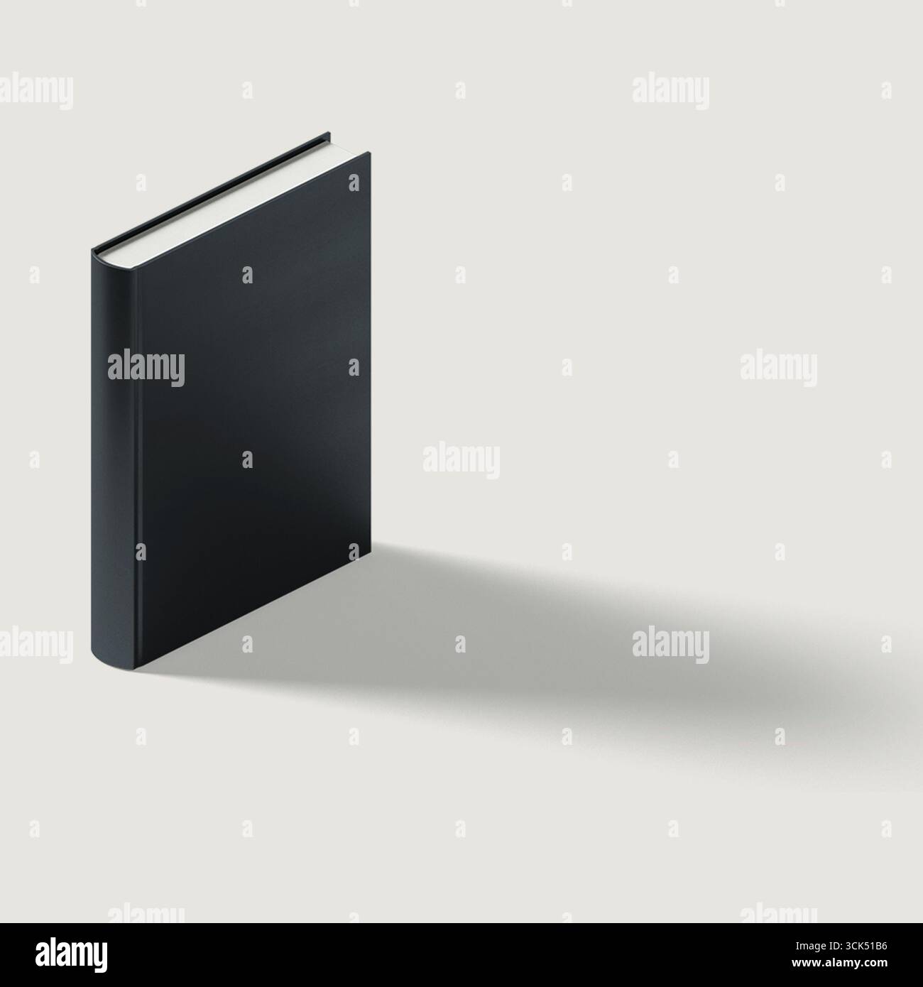 Un libro nero minimalista in verticale, che proietta un'ombra morbida su uno sfondo chiaro. Foto Stock