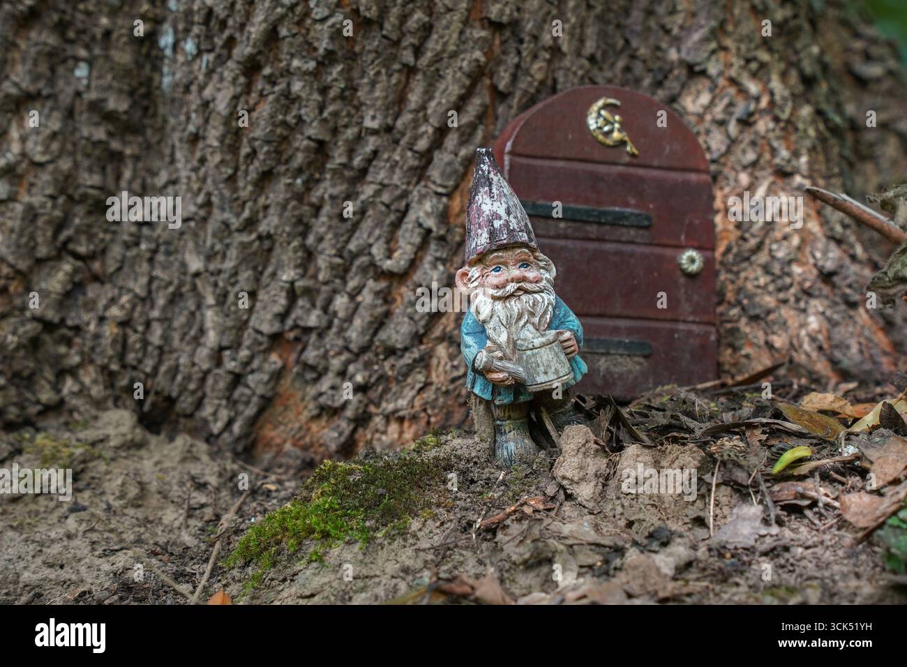 Statuetta di GNOME da giardino accanto a una piccola porta di fata nel tronco dell'albero. Paesi Bassi. Foto Stock