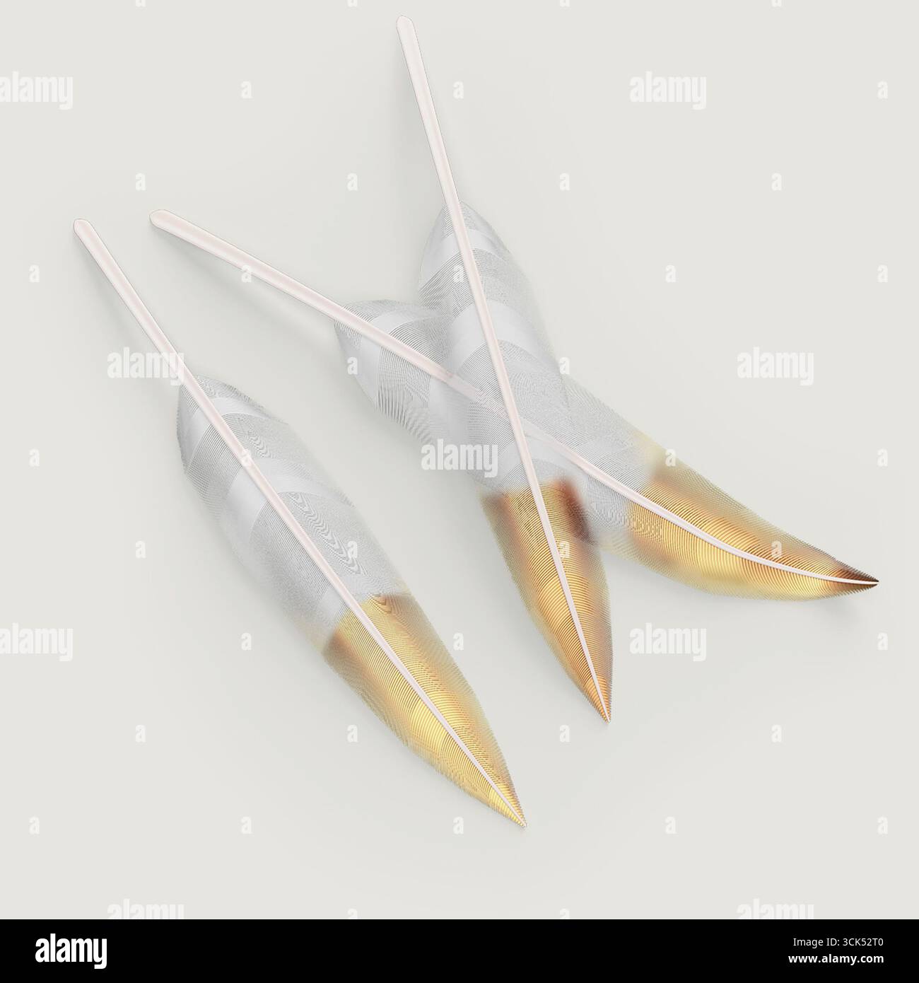 Vista dall'alto piume realistiche isolate su sfondo semplice , utile per la progettazione di elementi. Foto Stock