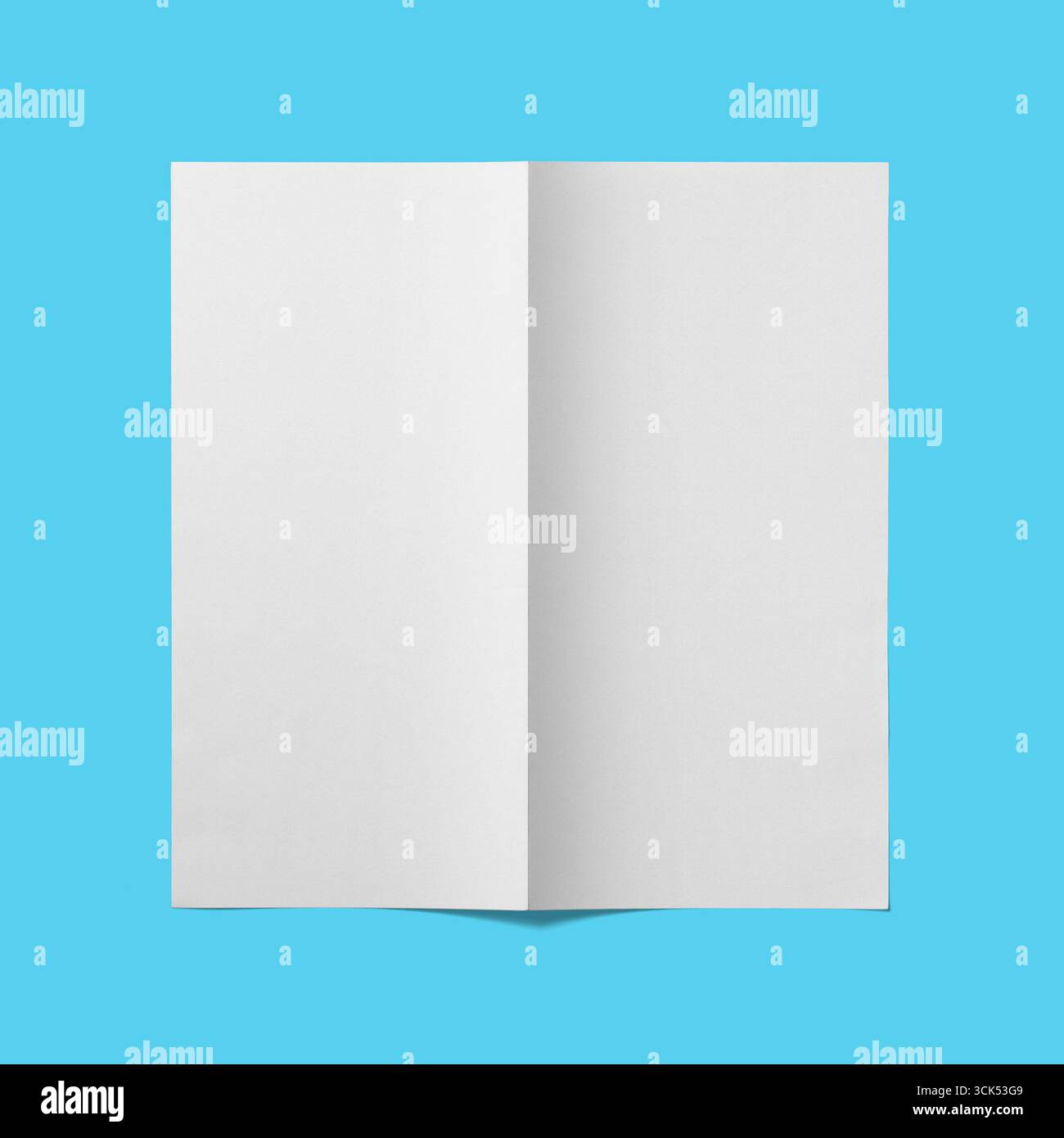 Un opuscolo o una brochure vuoti e aperti, con un design pulito e minimalista per contenuti personalizzabili. Foto Stock