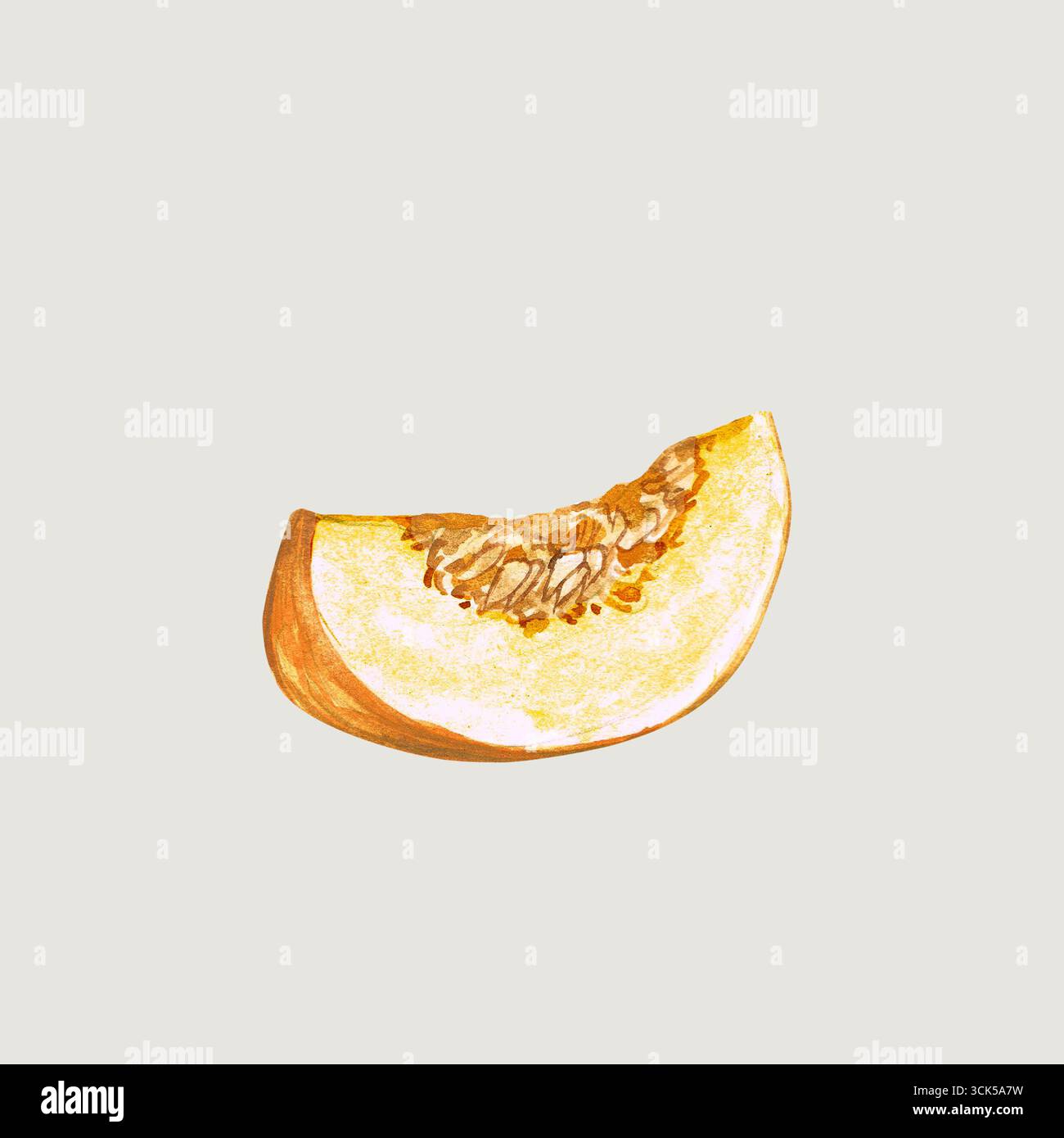 Un acquerello raffigurante una fetta di melone, che ne mostra la consistenza e i semi. Foto Stock