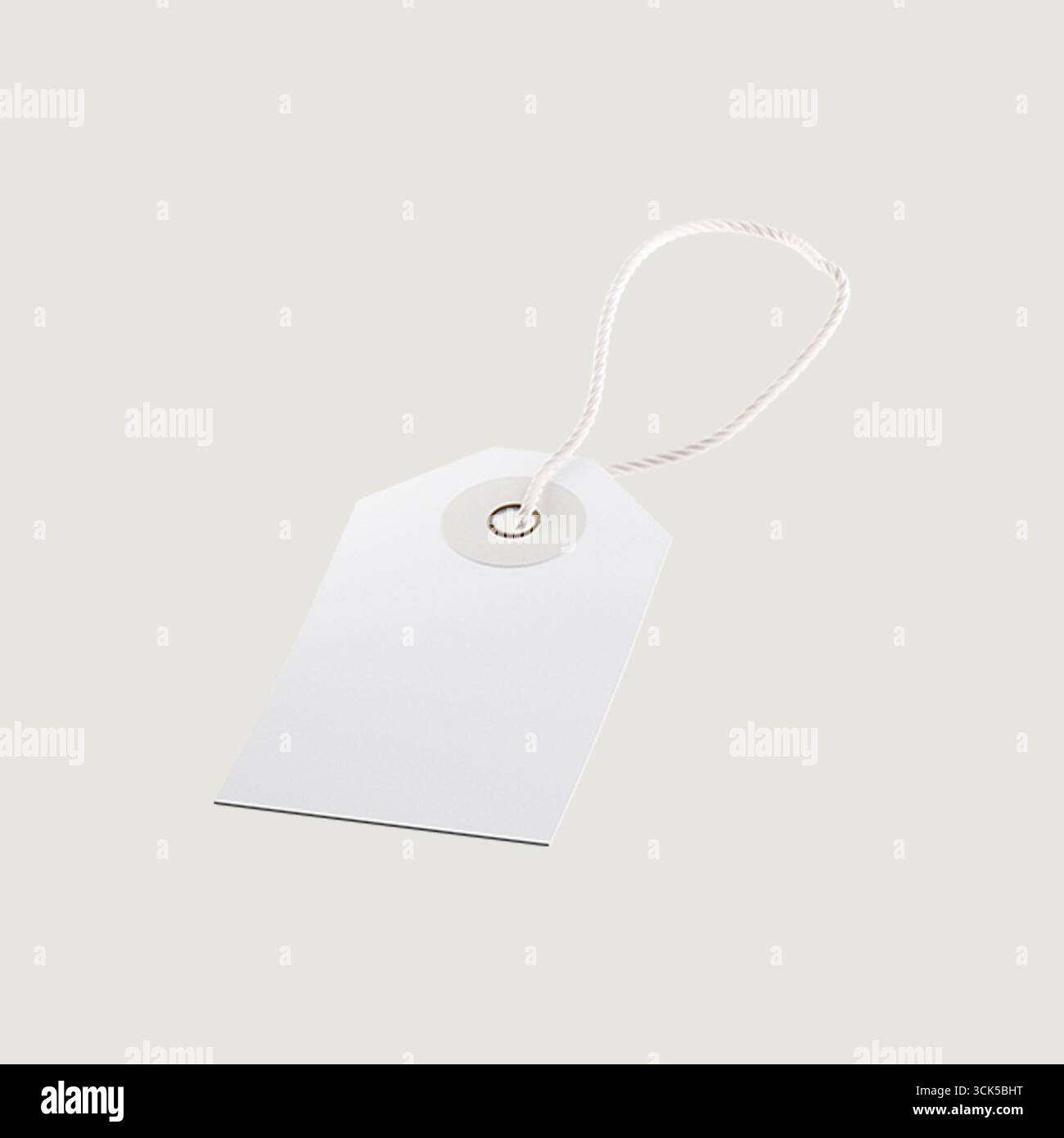 Un'etichetta bianca vuota con una stringa, comunemente utilizzata per l'etichettatura di articoli o prodotti. Foto Stock