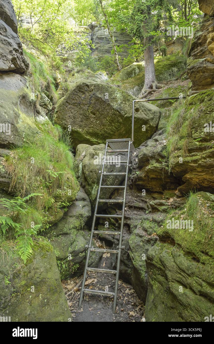 Wildschuetzensteig, sentiero escursionistico, Malerweg, Elba Sandstone Mountains, Svizzera sassone-regione dei Monti Ore Orientali, Sassonia, Germania Foto Stock