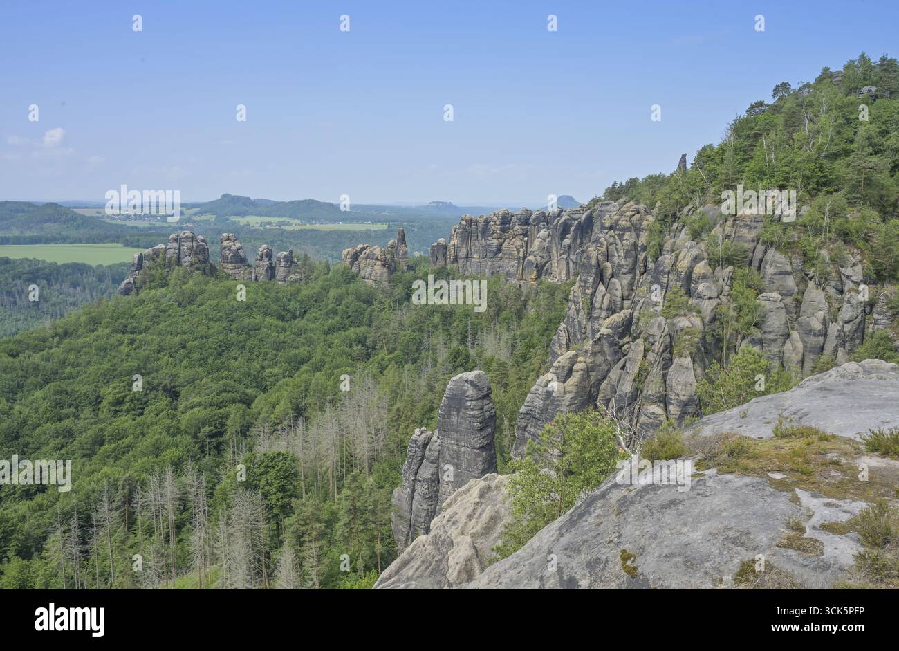 Vista di Schrammsteine, sentiero escursionistico, Malerweg, Elba Sandstone Mountains, Svizzera sassone-distretto dei Monti Ore Orientali, Sassonia, Germania Foto Stock