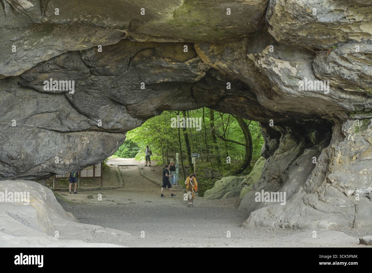 Porta di roccia di Kuhstallhoehle, sentiero escursionistico, Malerweg, regione della Svizzera sassone-Orientale dei Monti Ore, Sassonia, Germania Foto Stock