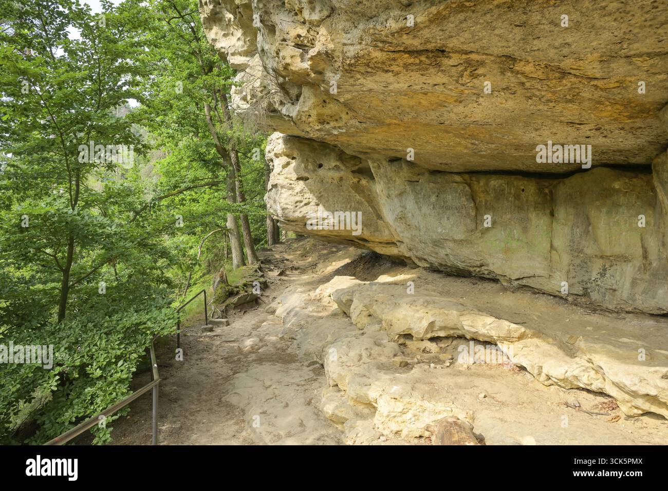 Sentiero escursionistico di Hockstein, Malerweg, Svizzera sassone-regione orientale dei Monti Ore, Sassonia, Germania Foto Stock