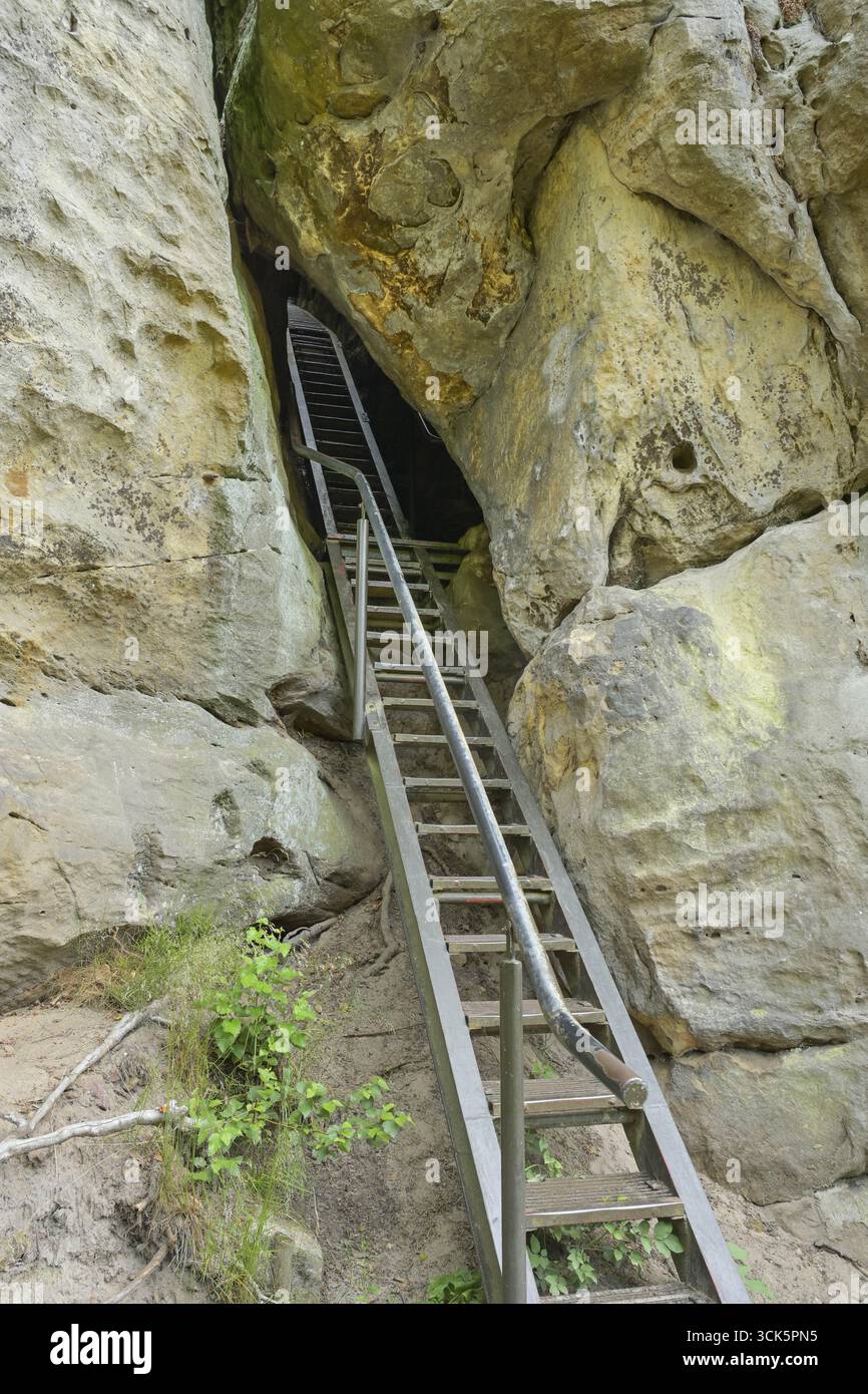 Wolfsschlucht am Hockstein, scalinata in acciaio, sentiero escursionistico, Malerweg, Svizzera sassone-distretto dei Monti Ore orientali, Sassonia, Germania Foto Stock