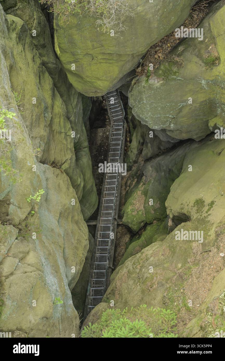 Wolfsschlucht am Hockstein, scalinata in acciaio, sentiero escursionistico, Malerweg, Svizzera sassone-distretto dei Monti Ore orientali, Sassonia, Germania Foto Stock