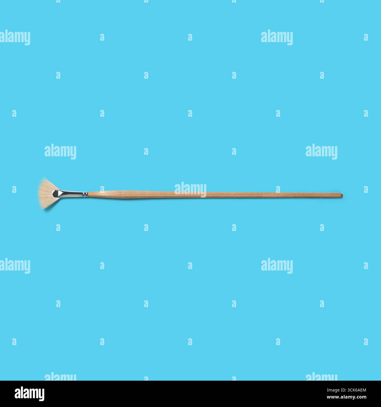 Uno strumento di pulizia con un lungo manico in legno e una testina a ventaglio, utilizzato per spolverare o pulire. Foto Stock
