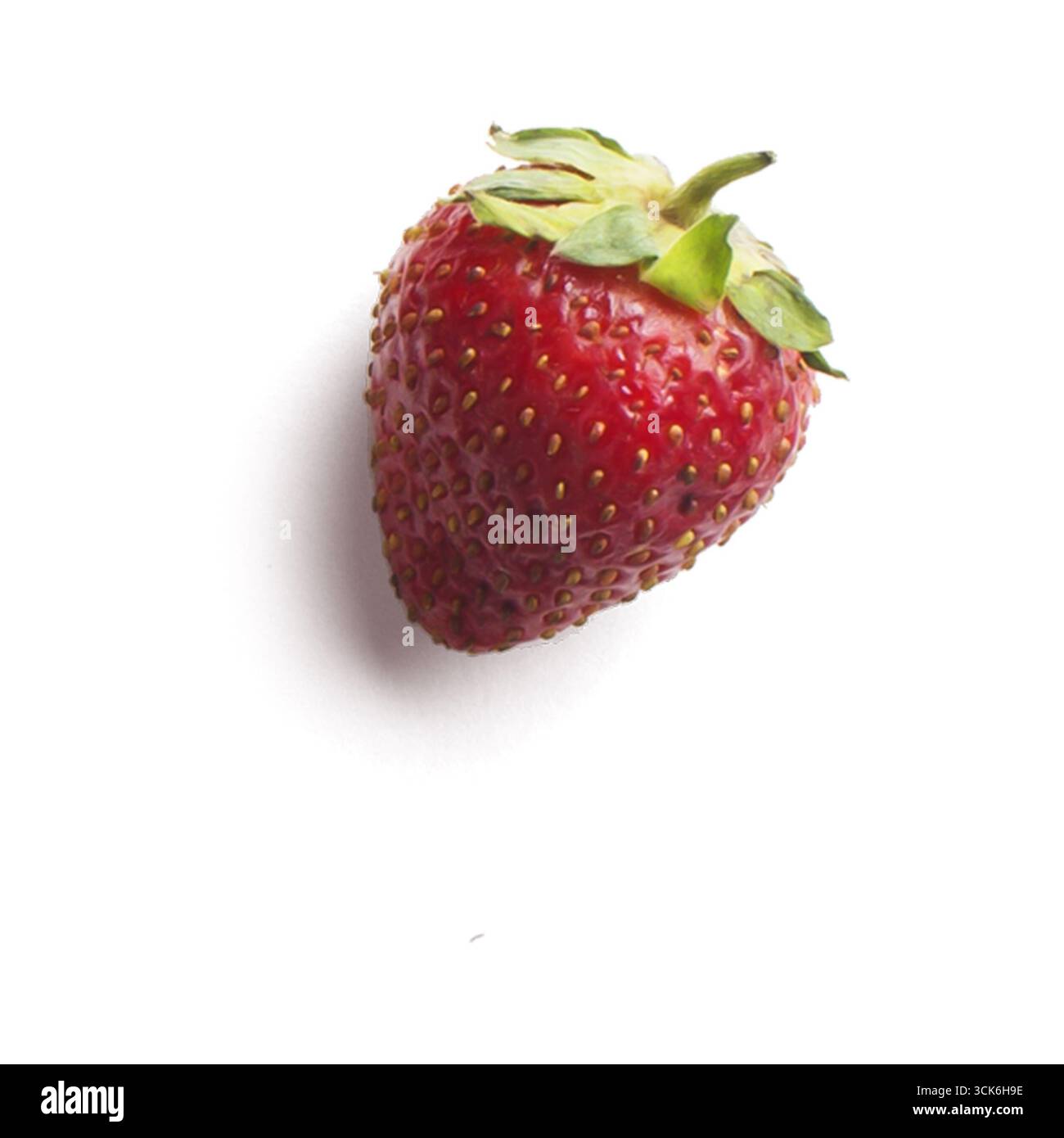 Una vivace fragola rossa con un berretto verde a foglia, posta su un pulito sfondo bianco, che ne mette in risalto la freschezza e il fascino. Foto Stock