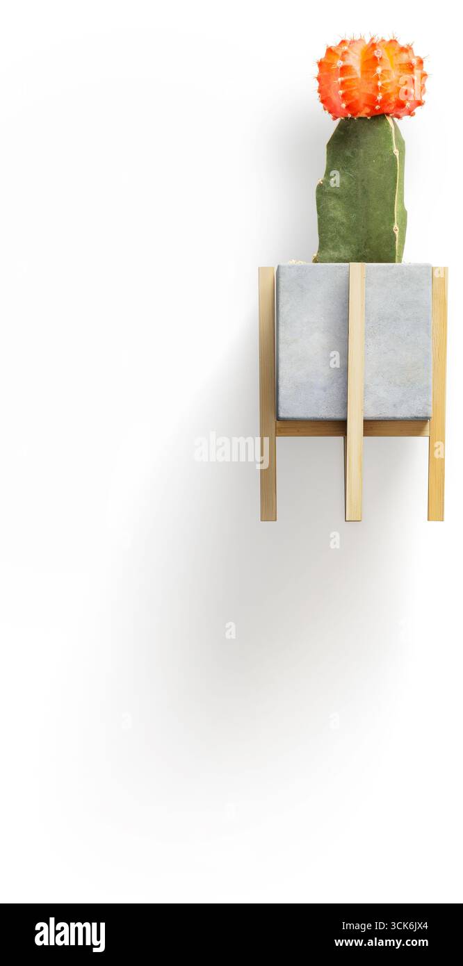 Una piantatrice moderna caratterizzata da un cactus con vibranti fiori arancioni, progettata per decorare e valorizzare gli spazi interni. Foto Stock