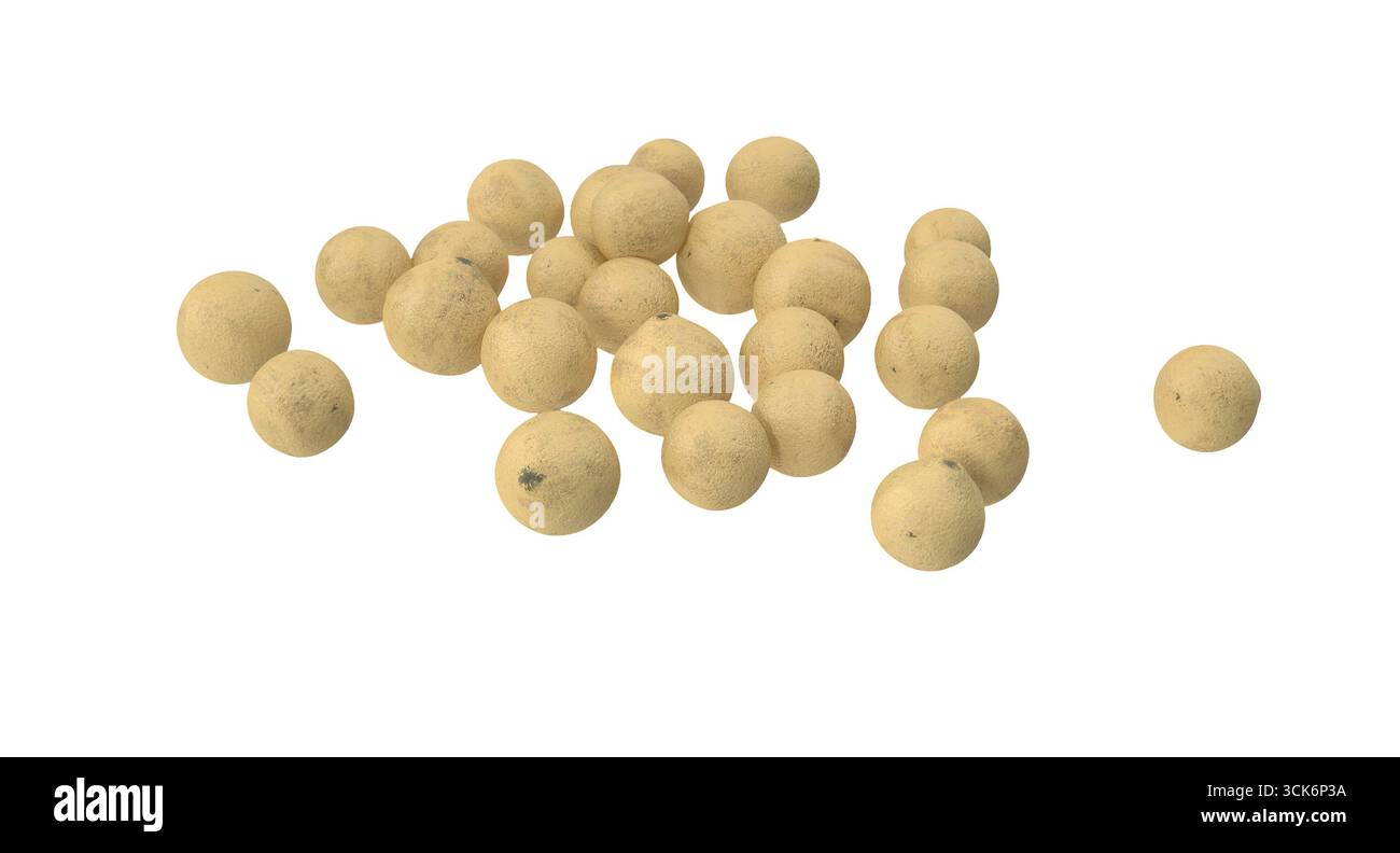 Una collezione di palline di piccole dimensioni, rotonde, beige, probabilmente utilizzate per varie applicazioni, come artigianato o scopi didattici. Foto Stock