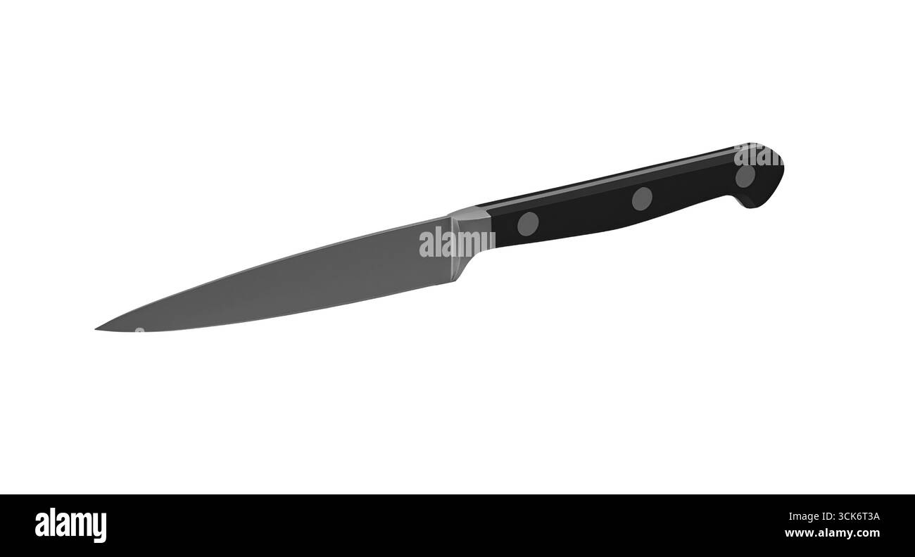 Un coltello da cucina elegante e moderno con manico nero e lama affilata, progettato per tagli di precisione e attività culinarie. Foto Stock