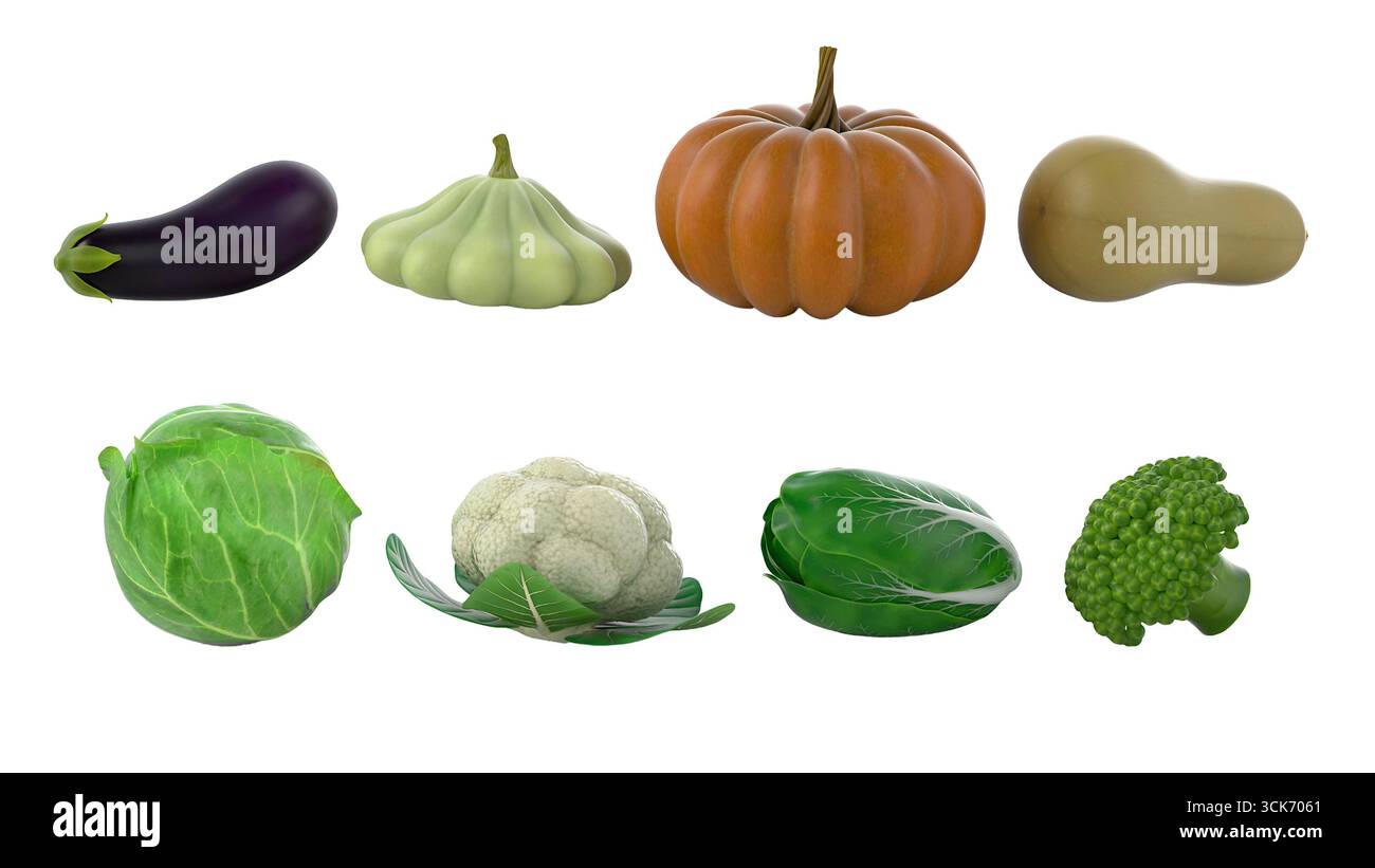 Una collezione di verdure varie, tra cui melanzane, zucca e cavolo, con forme e colori diversi. Foto Stock