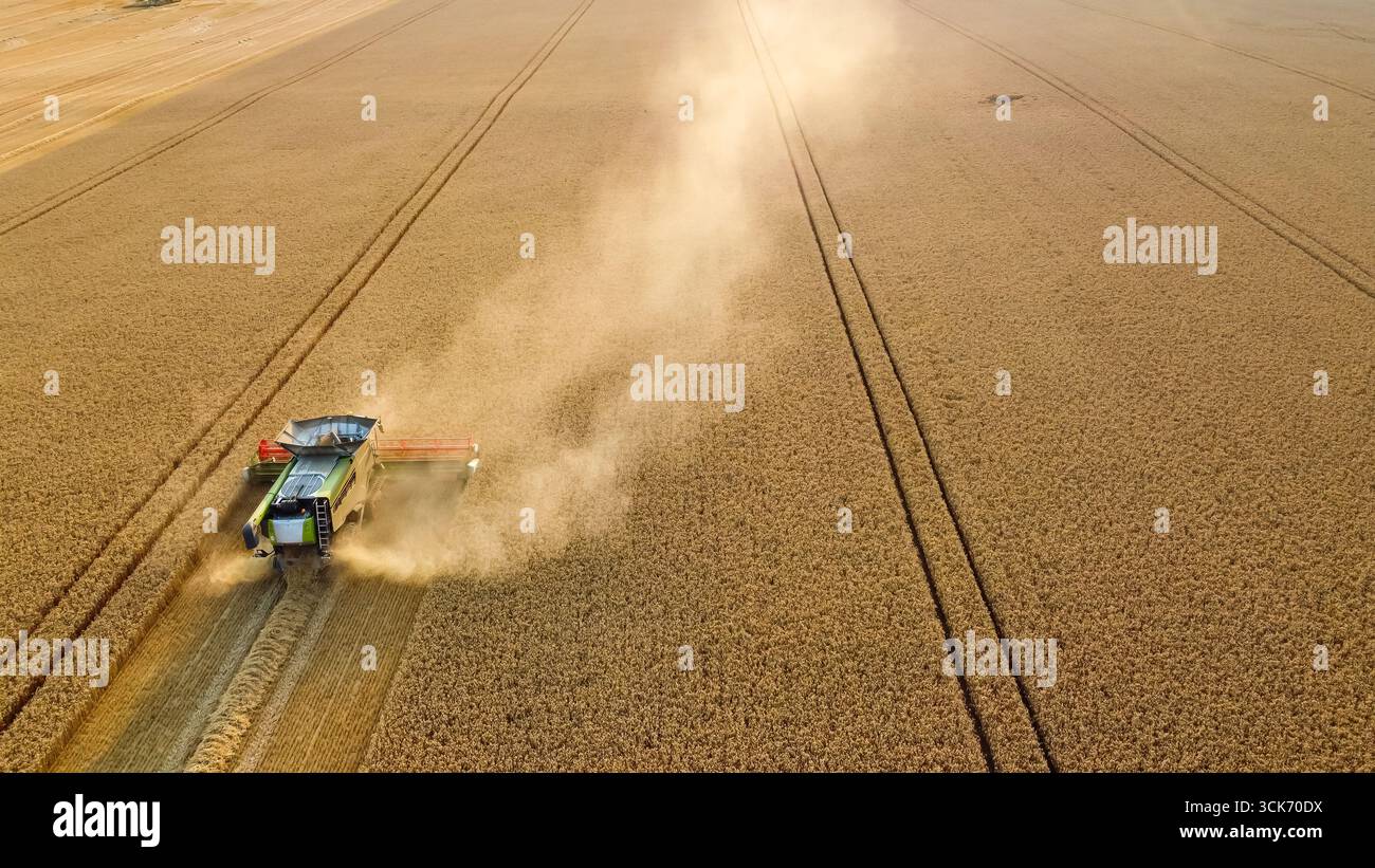 Vista aerea della mietitrebbiatrice e del trattore per la raccolta del grano Foto Stock
