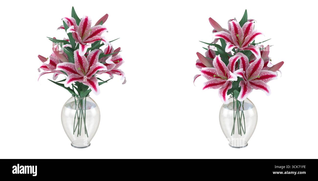 Due eleganti vasi pieni di vivaci gigli rosa, che mostrano bellezza floreale per decorare o regalare. Foto Stock