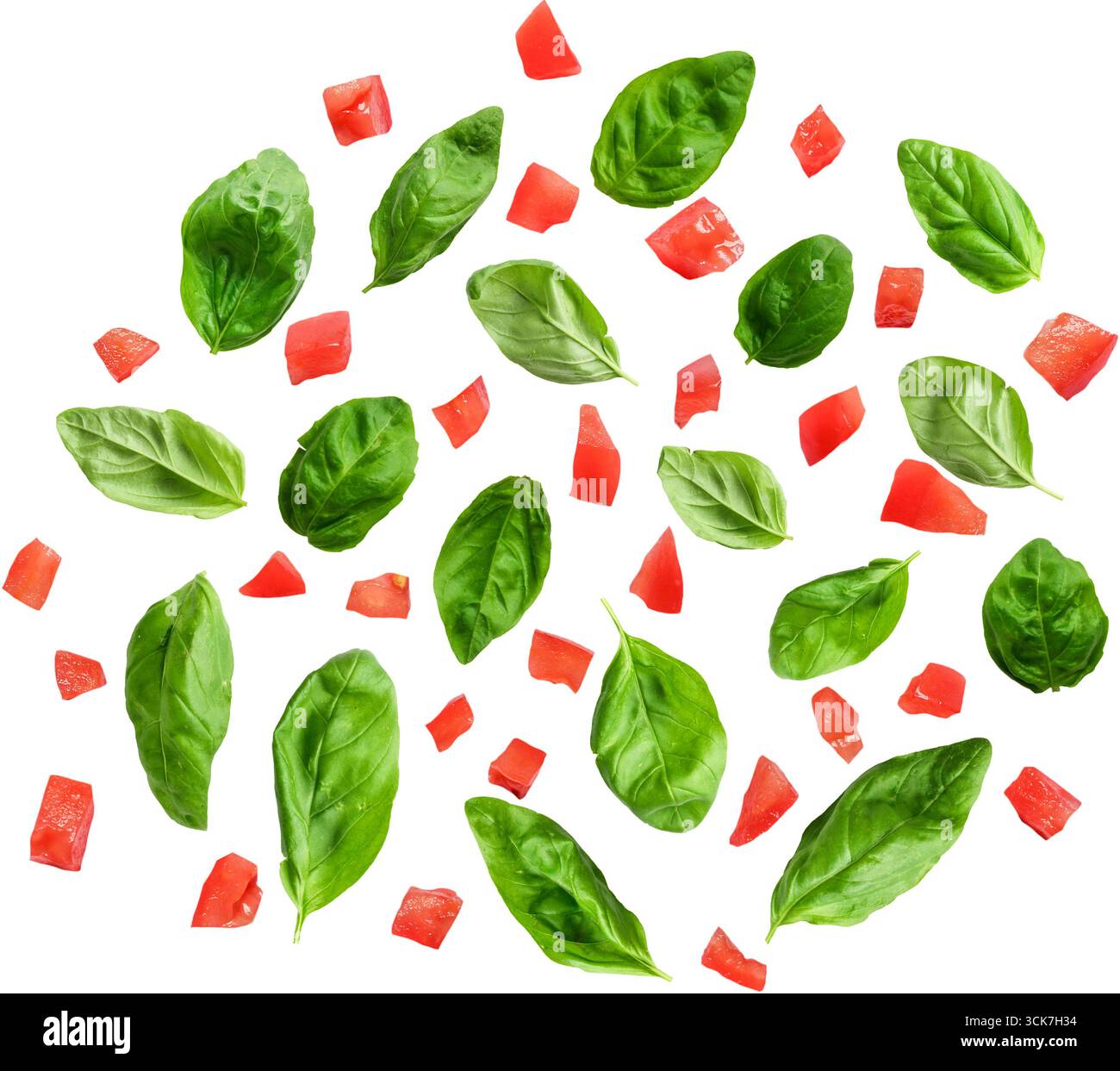 Una vivace disposizione di foglie di basilico fresco e pomodori a dadini, perfetta per presentazioni culinarie. Foto Stock