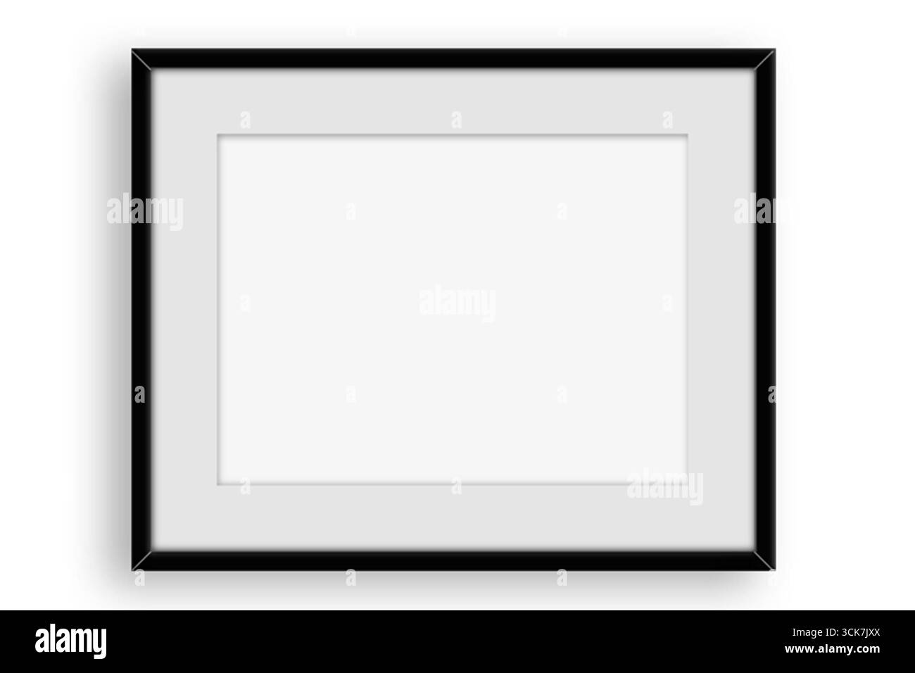 Bordo e cornice in stile barocco. Colore bianco e nero. Decorazione ad incisione floreale