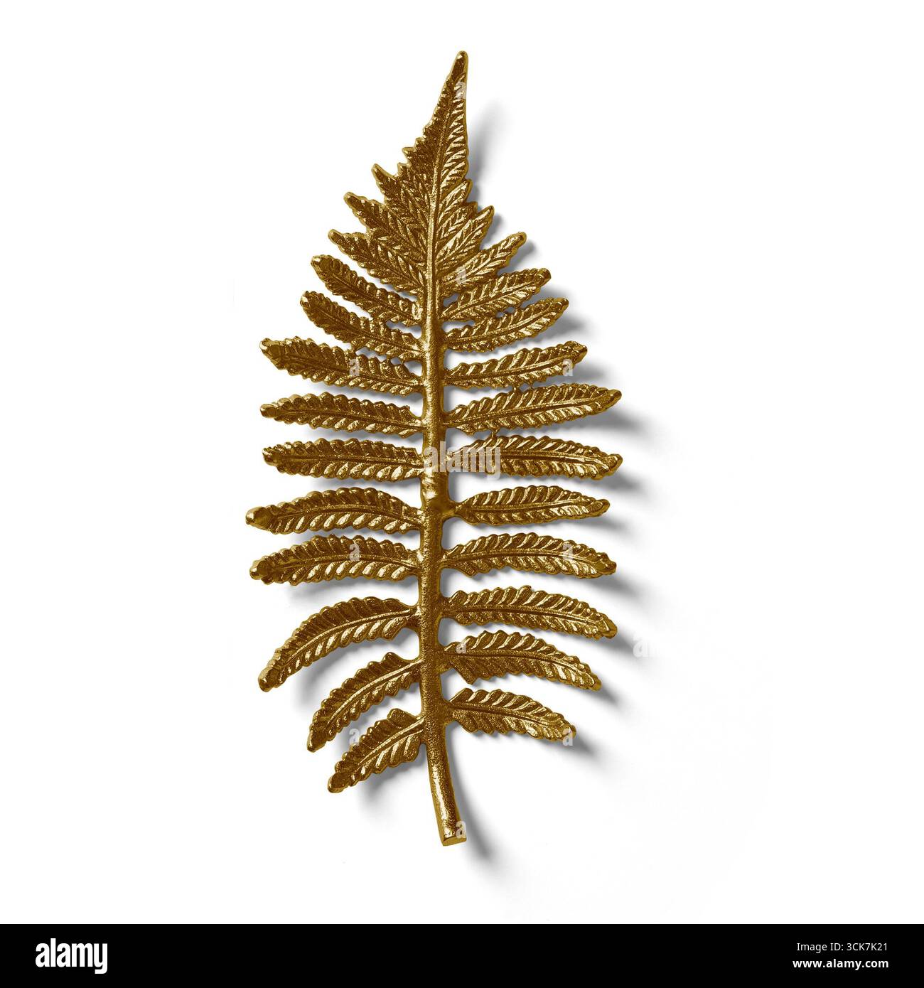 Decorazioni in foglie di felce dorate che mostrano dettagli intricati e una finitura lucida. Foto Stock