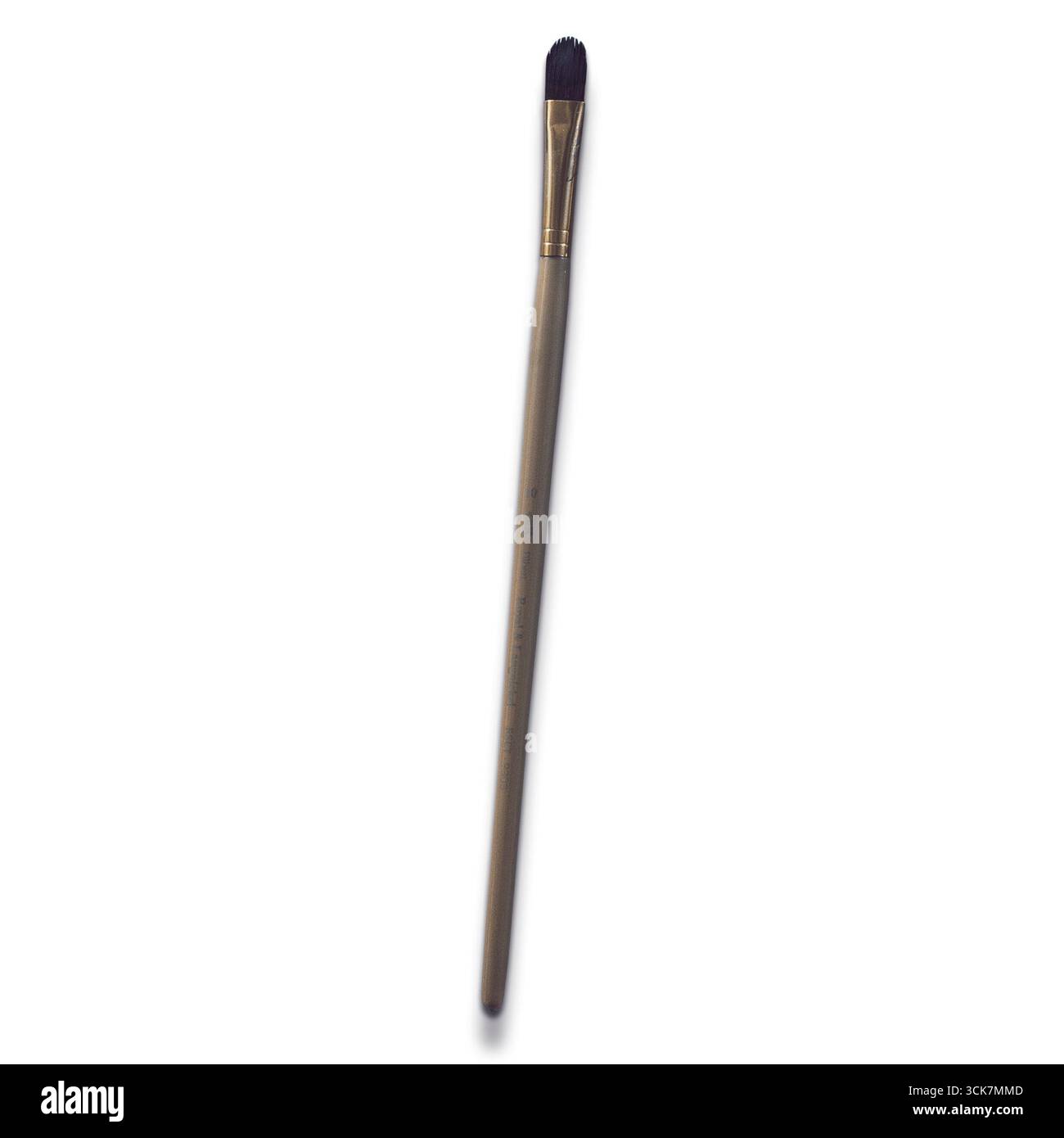 Una spazzola per il trucco con una punta morbida e arrotondata, progettata per un'applicazione precisa di cosmetici. Foto Stock